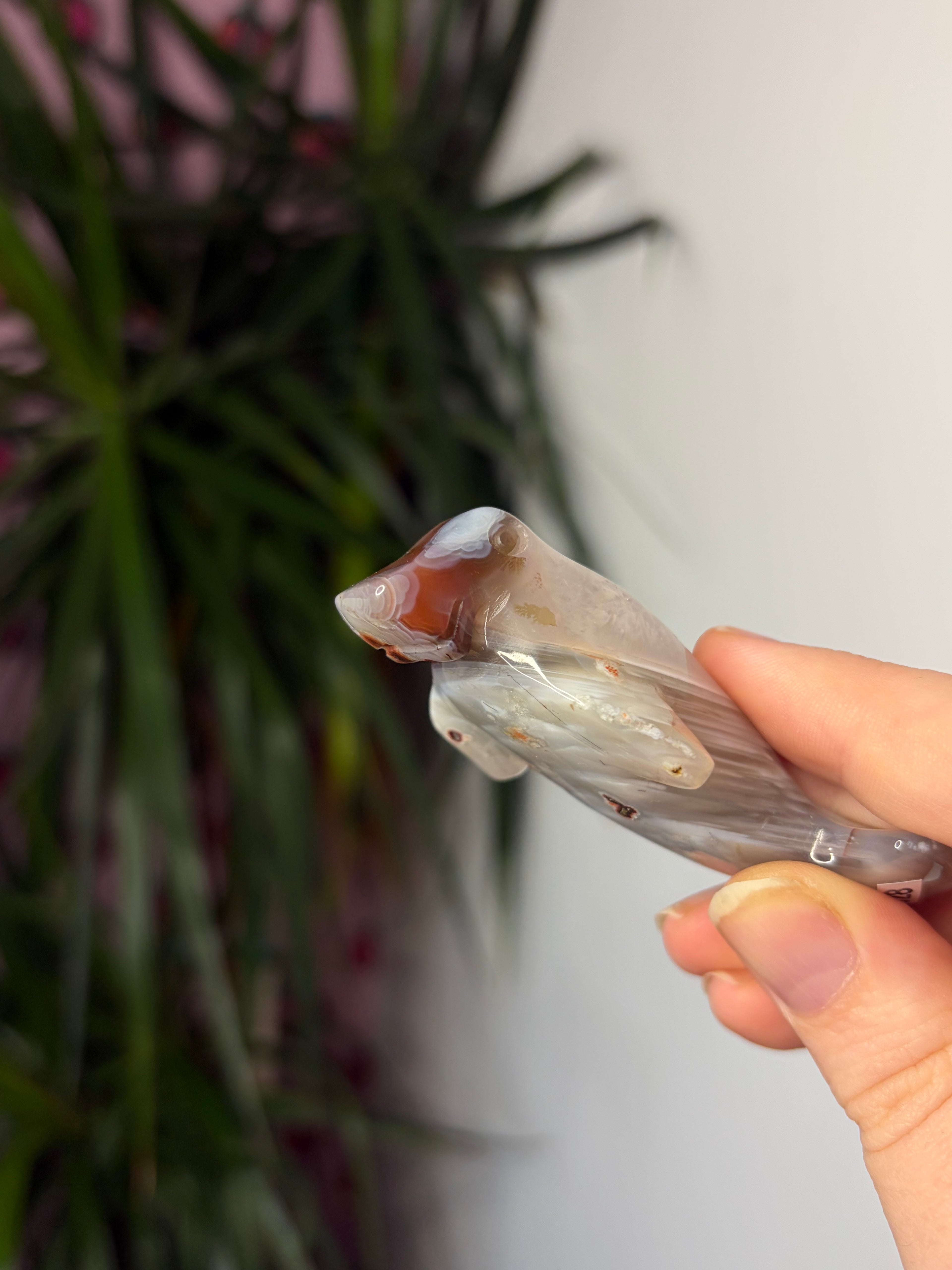 Mozambique Agate Manatee