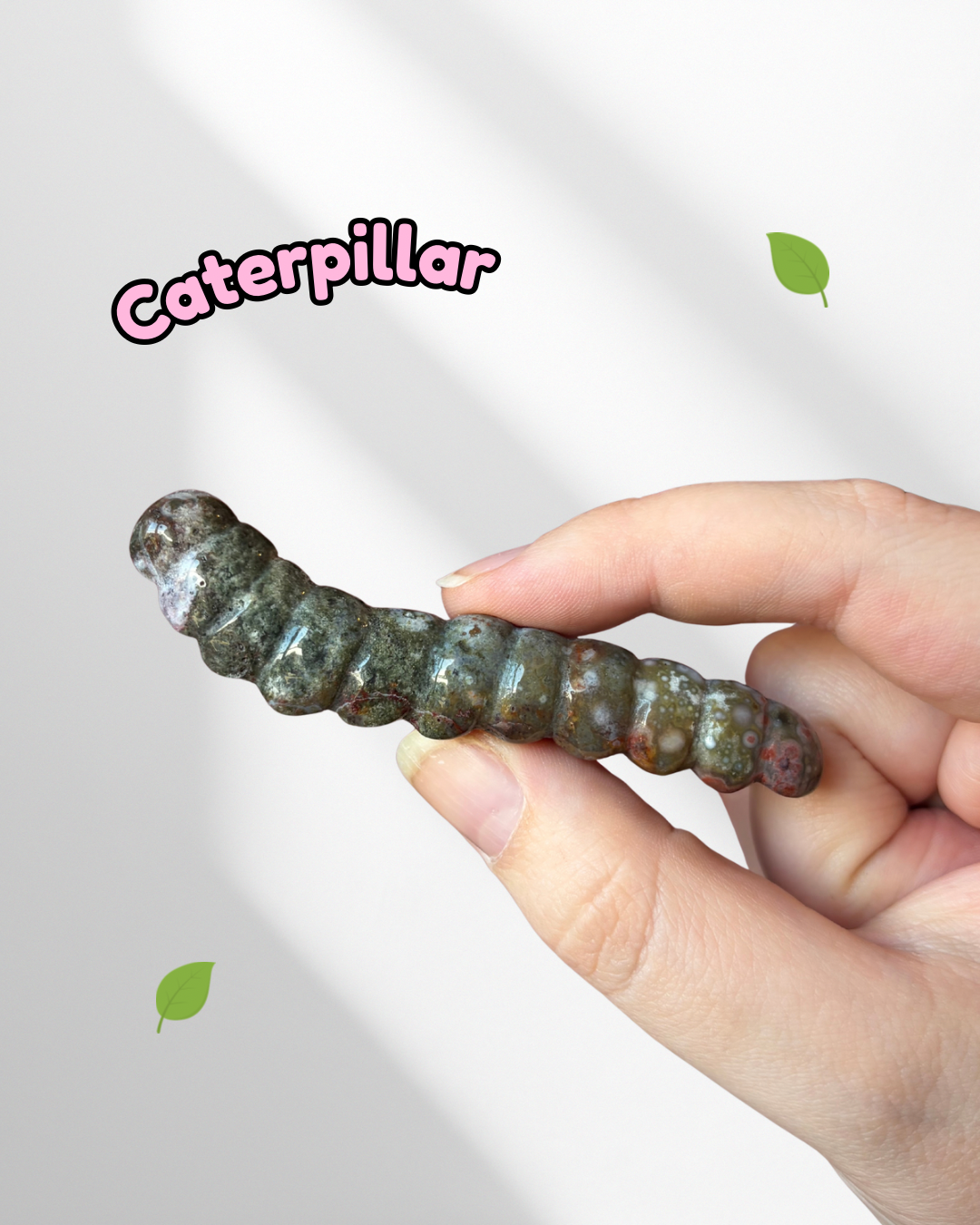 Ocean Jasper caterpillar