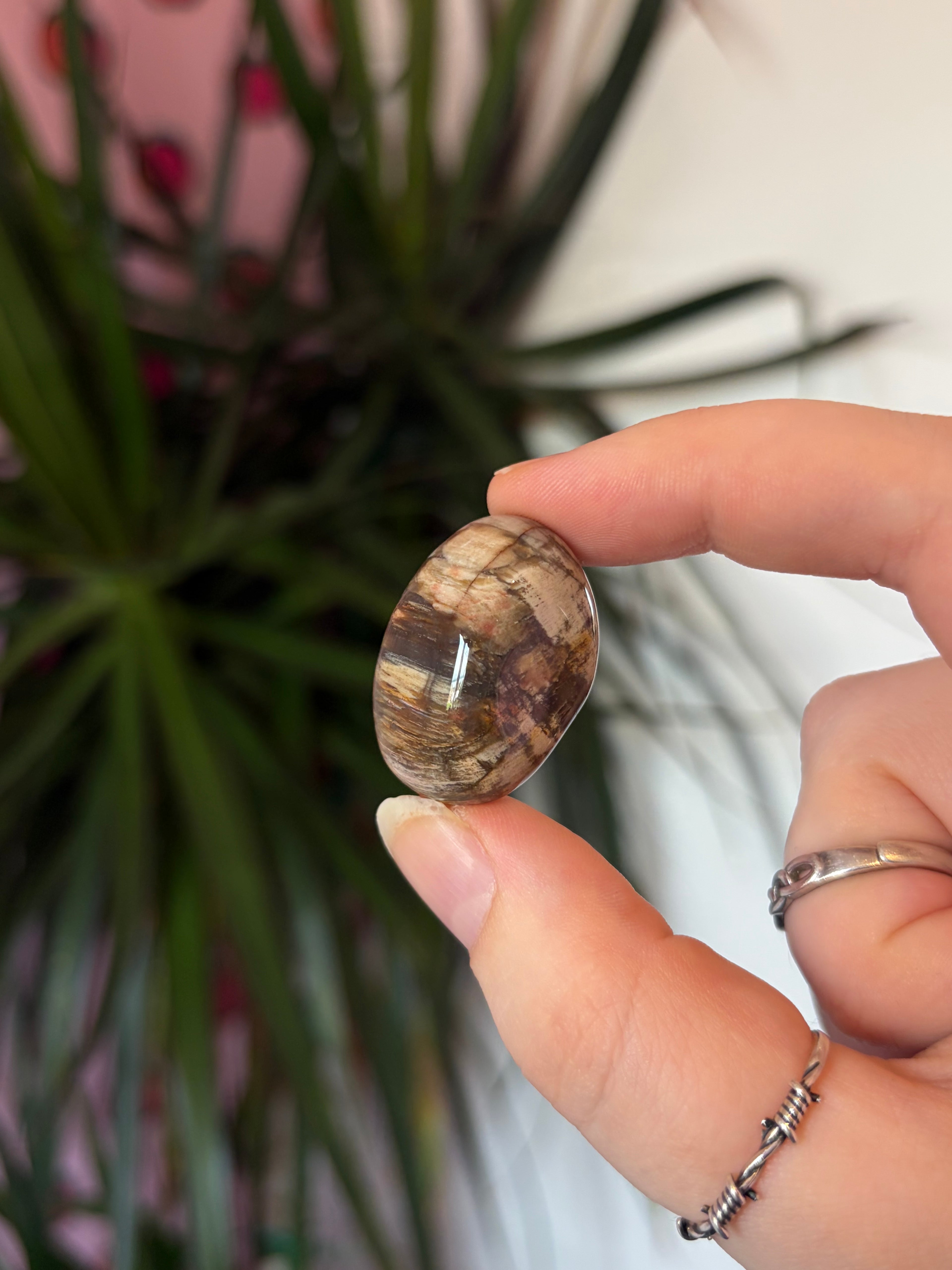 Fossil Wood Tumblestone
