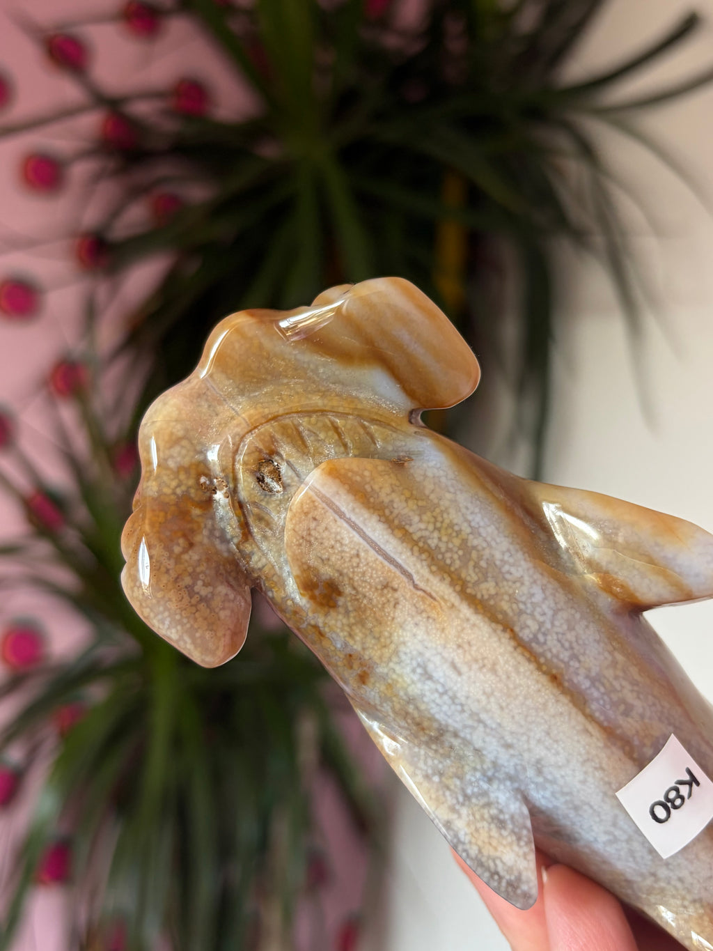 Agate Hammerhead Shark