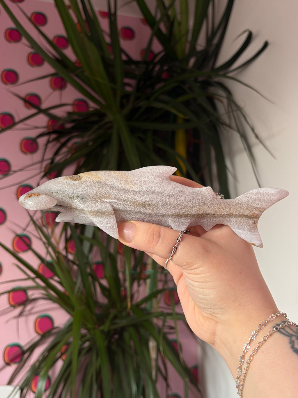 Ocean Jasper hammerhead shark