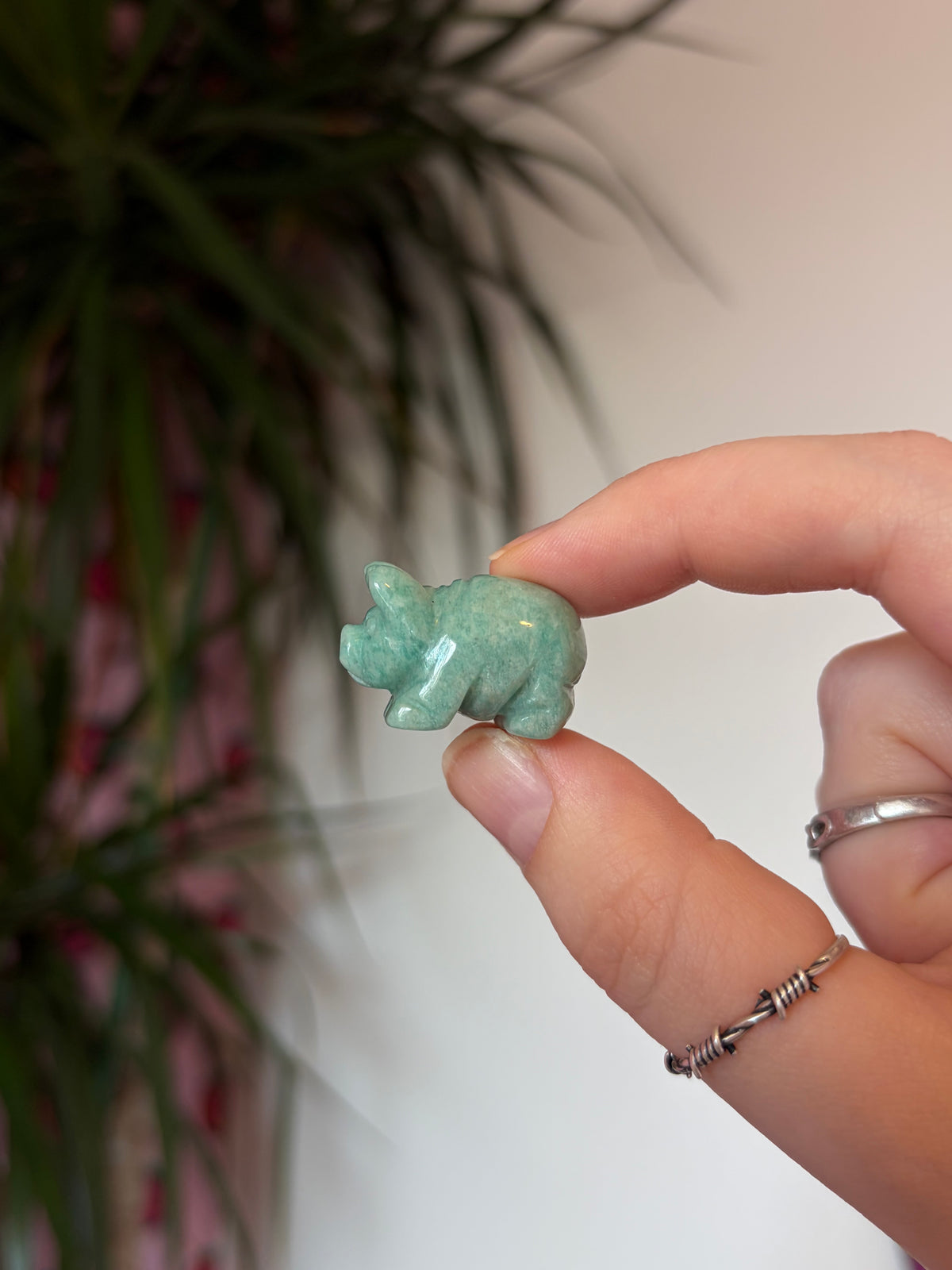 Mini Amazonite Pigs