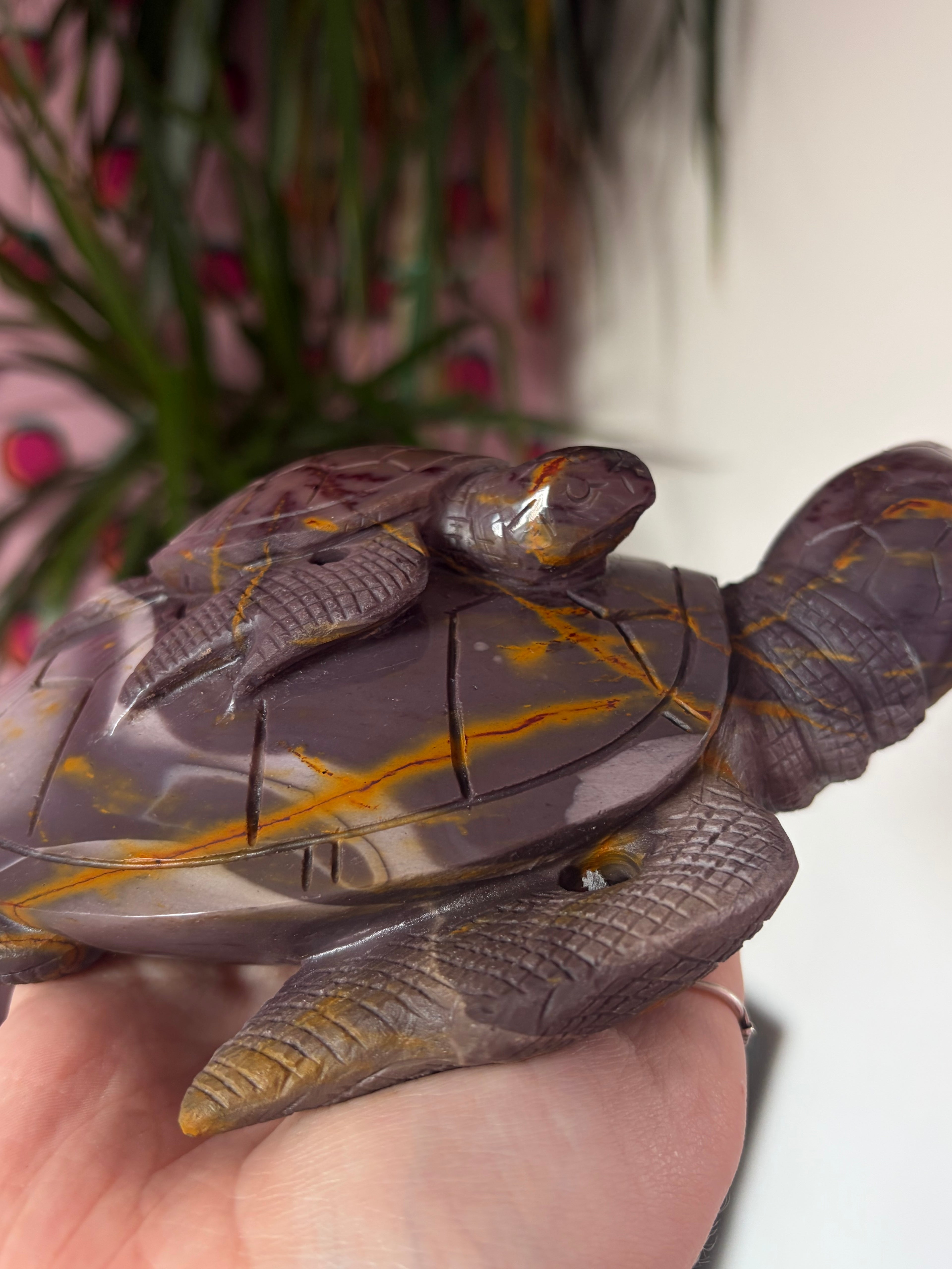 Big Mookaite Turtle on Custom stand