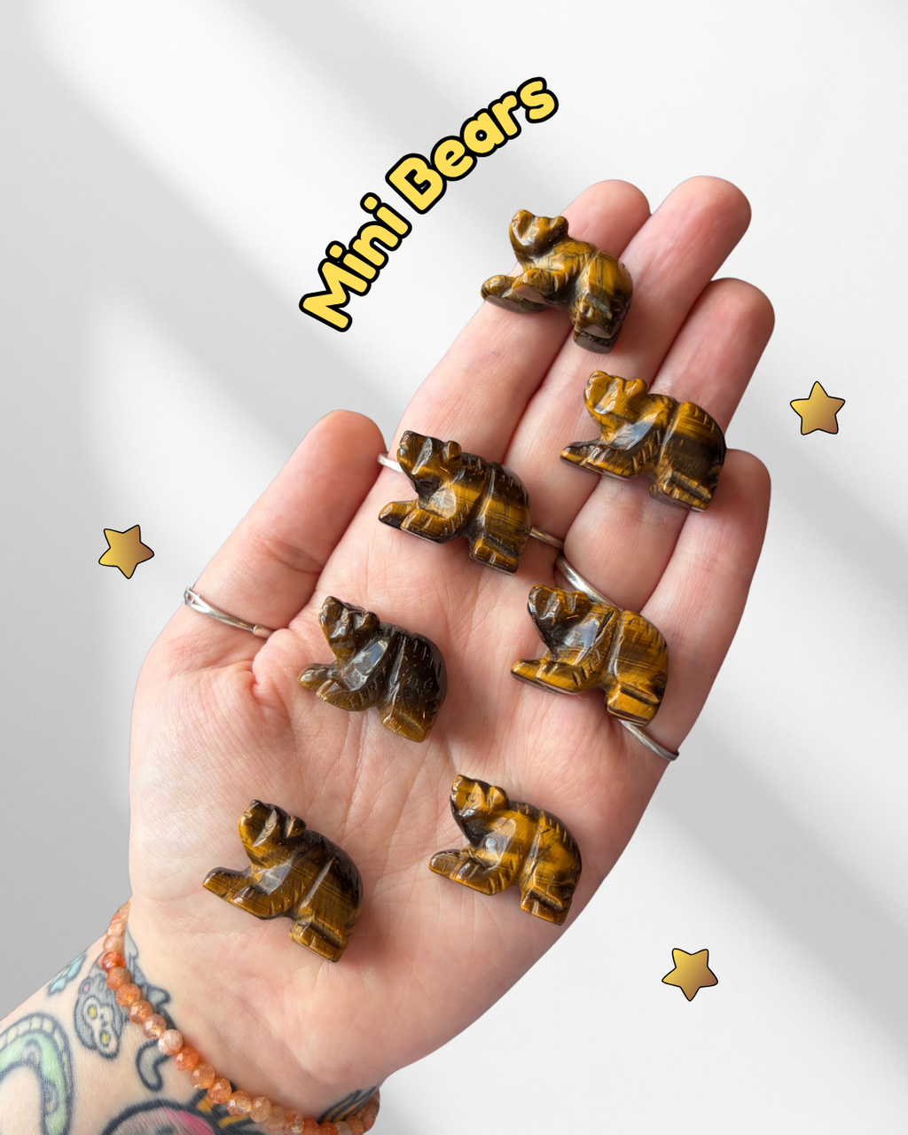 Mini Tigers Eye Bears