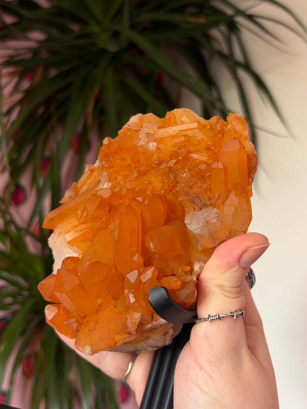Tangerine Quartz on stand