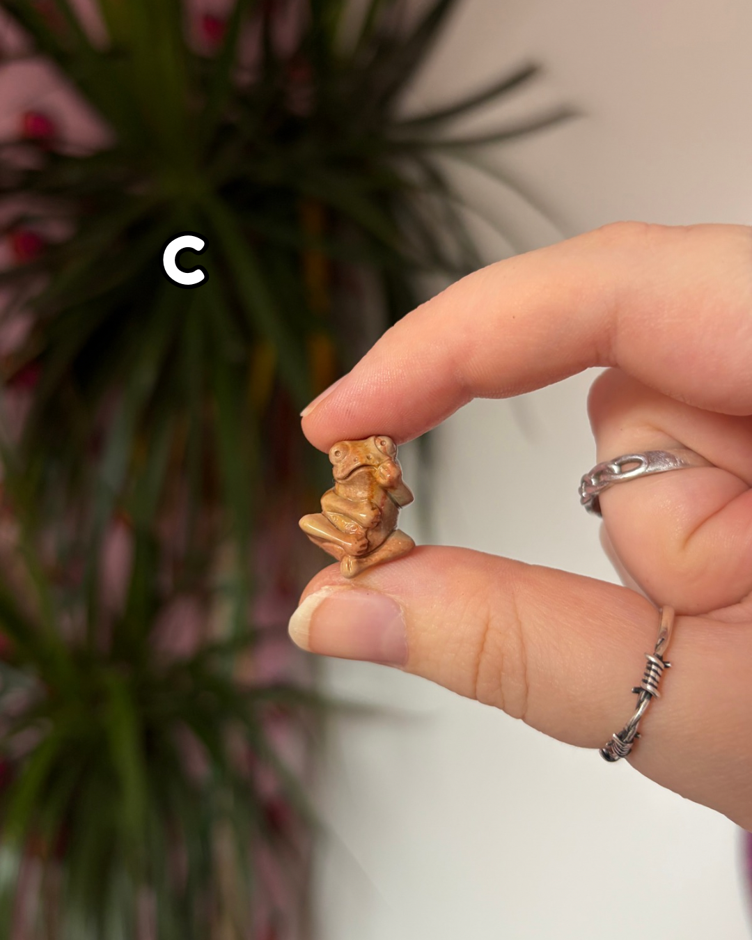Tiny Alashan Agate Frogs