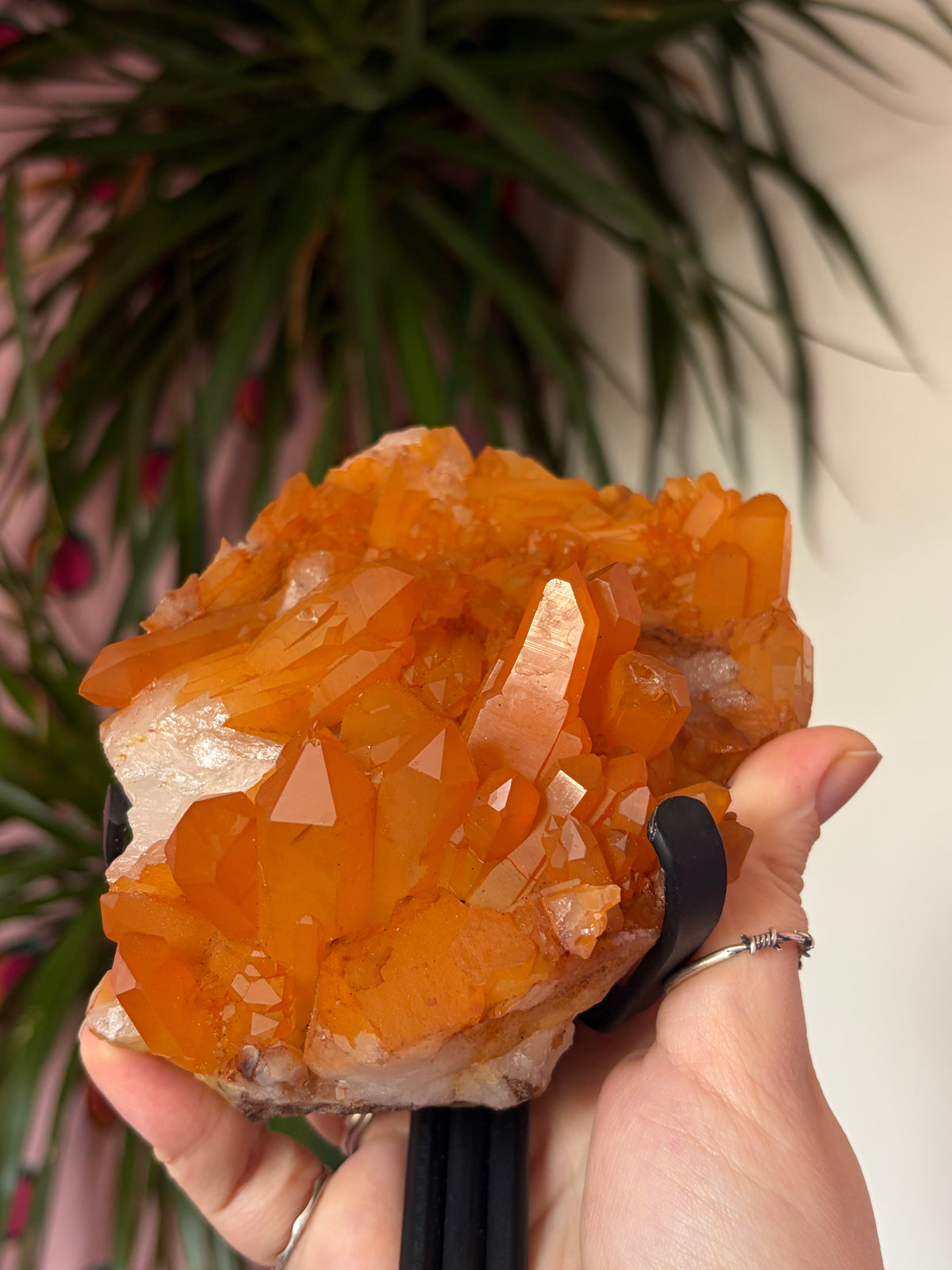 Tangerine Quartz on stand