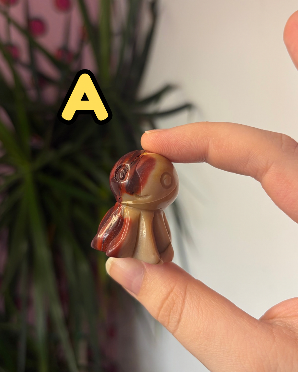 Mookaite Octopus