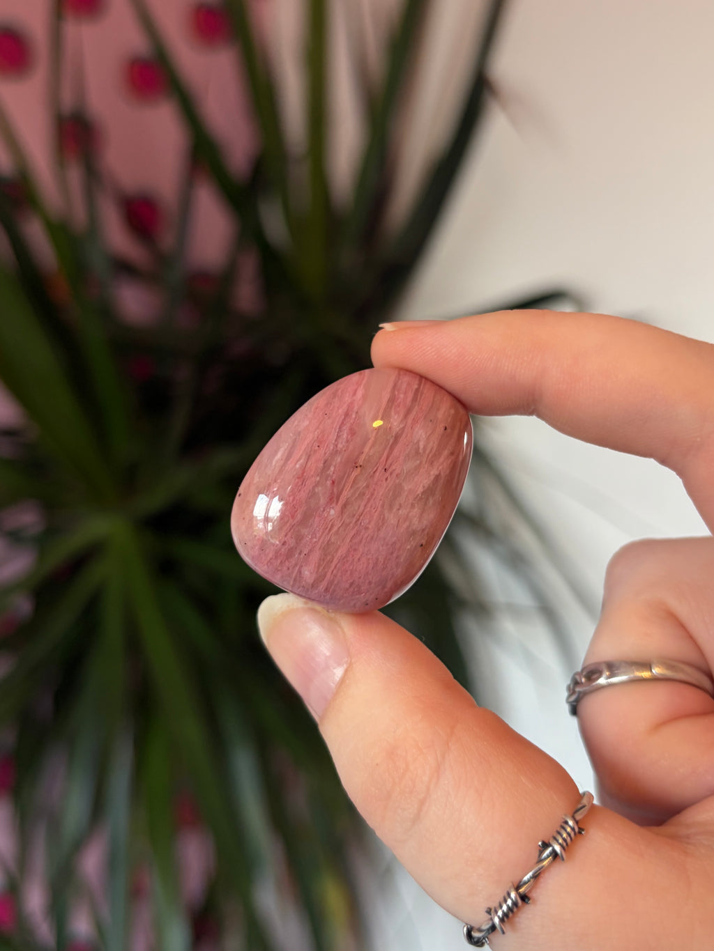 Pink Fossil Wood Tumblestone