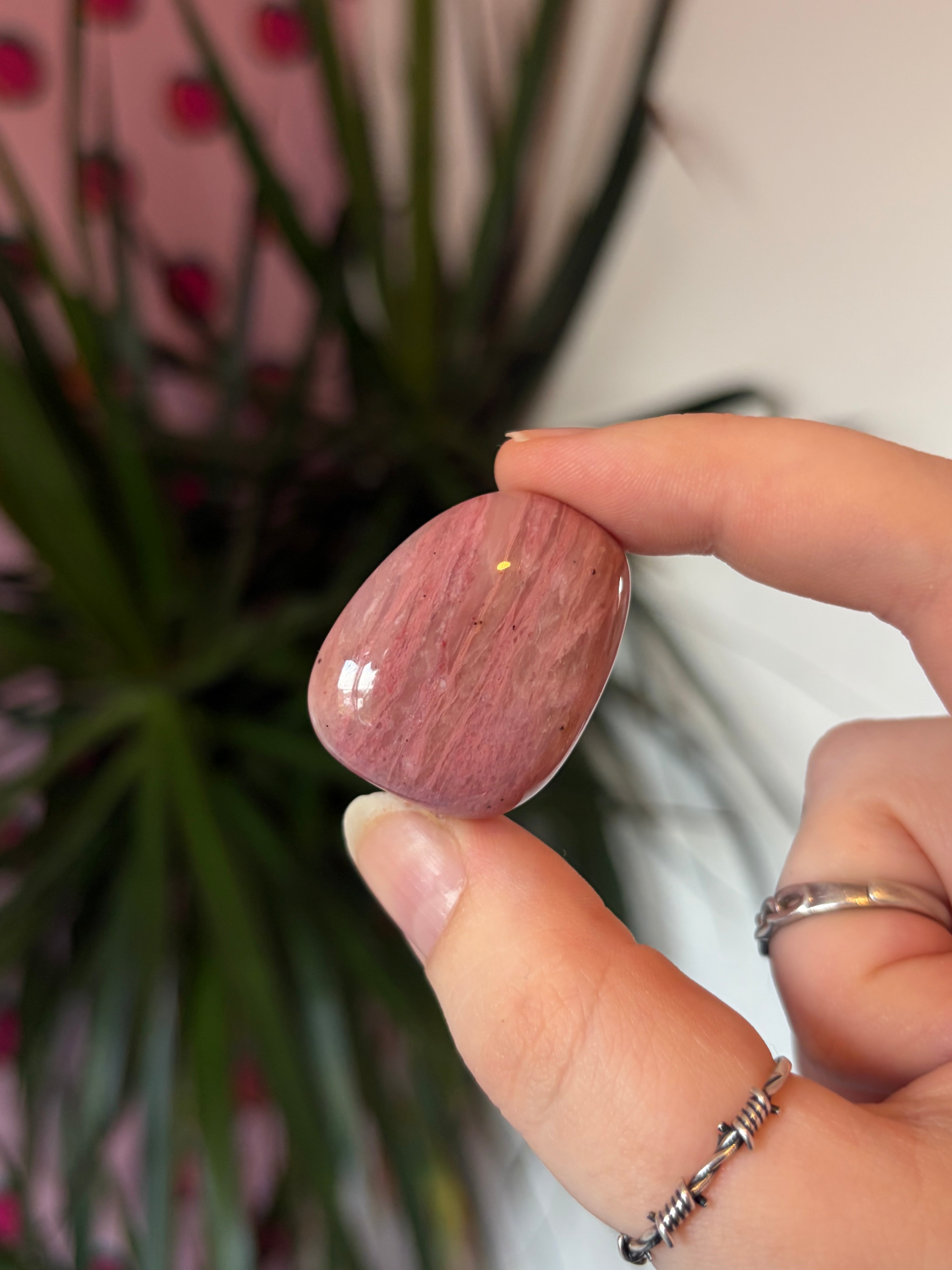 Pink Fossil Wood Tumblestone