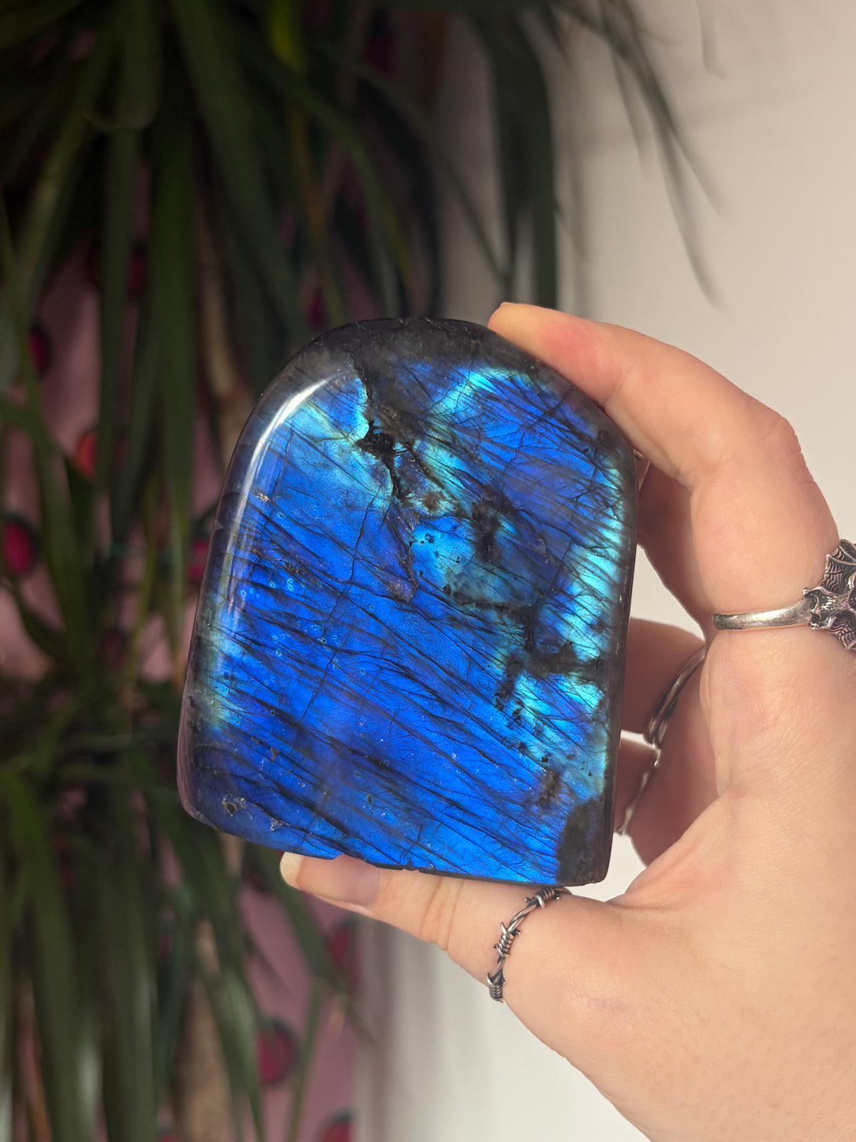 A Grade Labradorite Freeform
