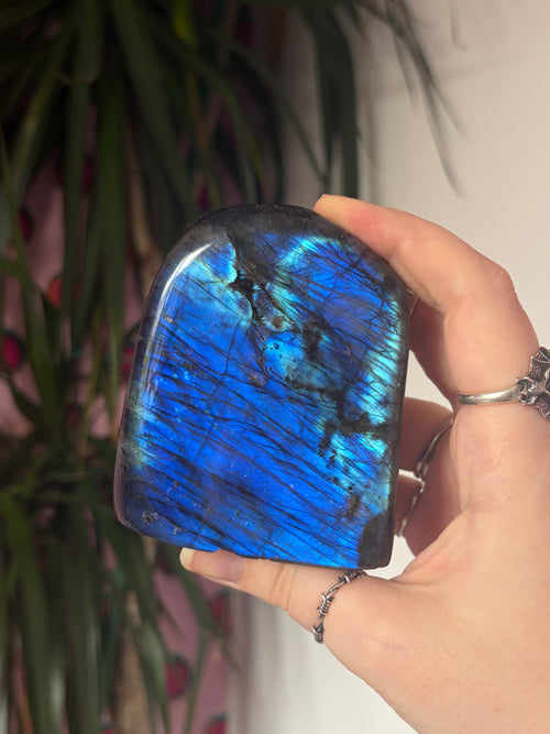 A Grade Labradorite Freeform