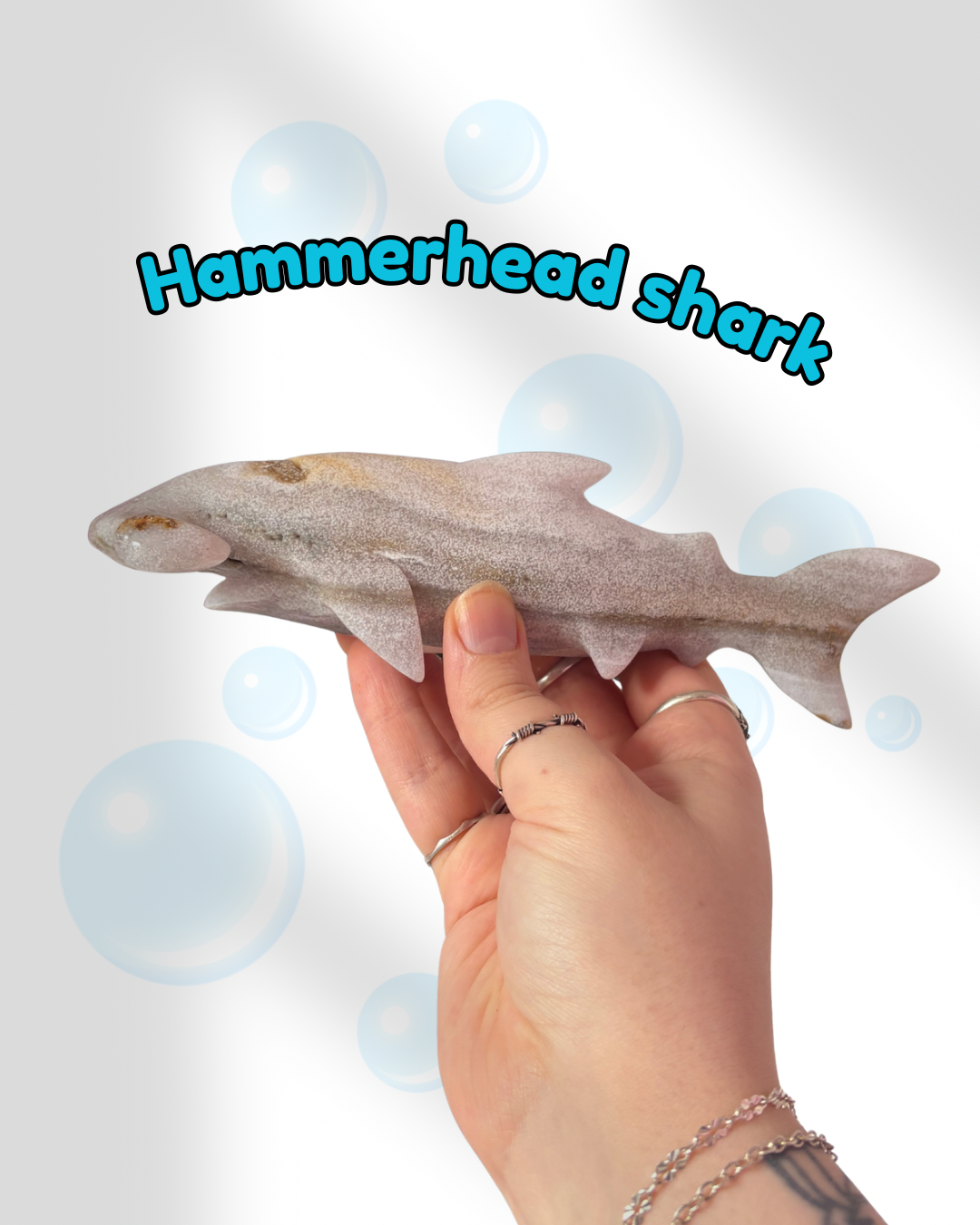 Ocean Jasper hammerhead shark