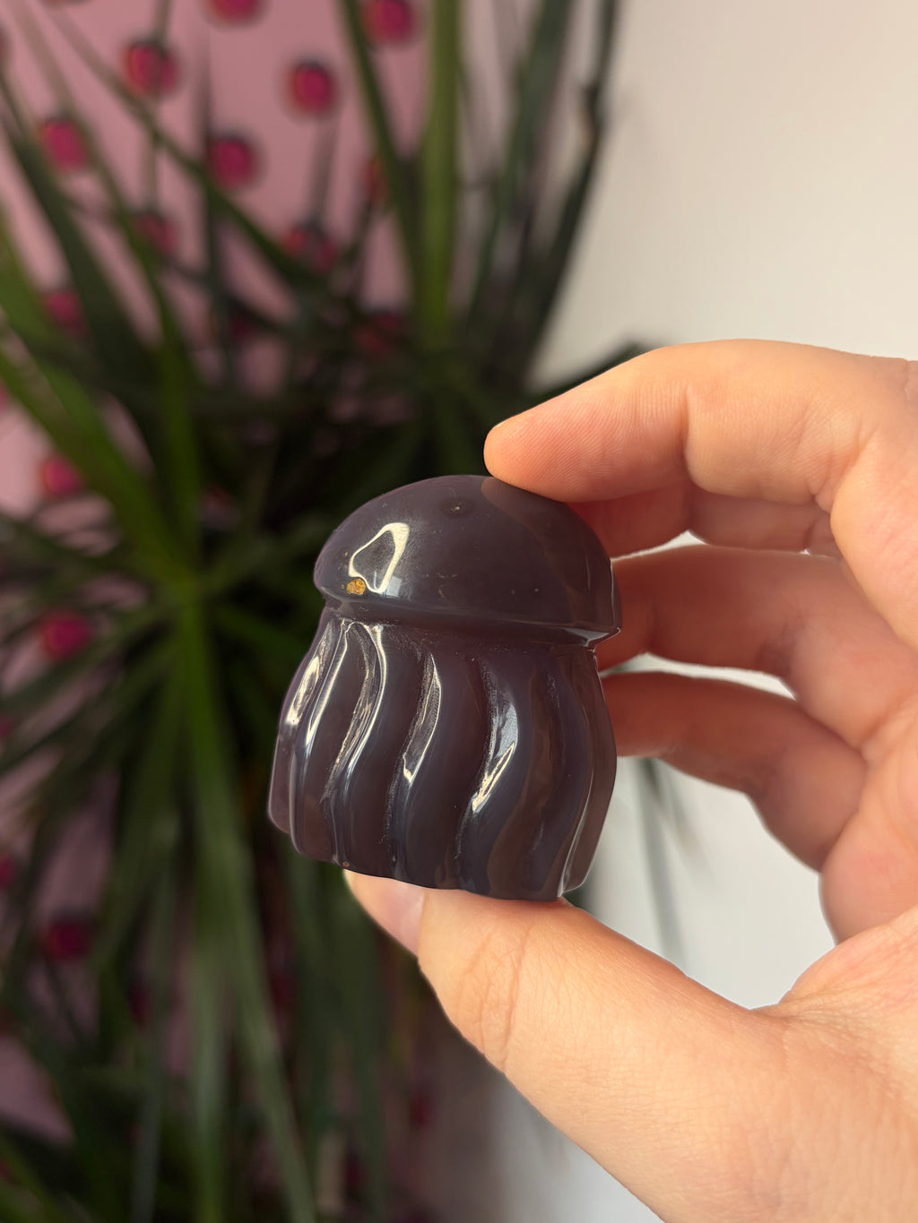 Mozambique Agate Jellyfish