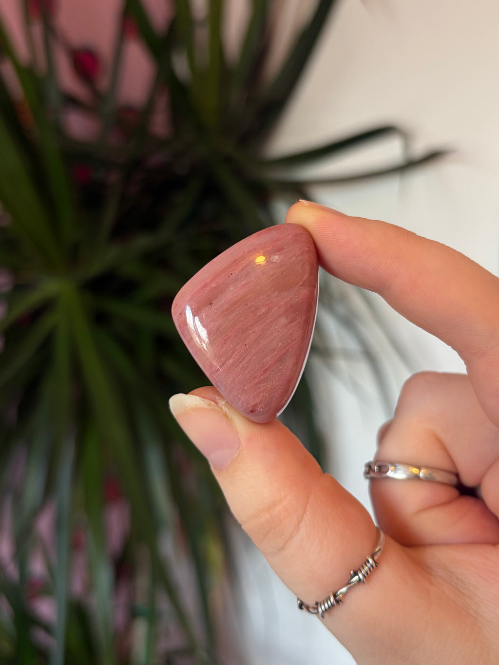 Pink Fossil Wood Tumblestone