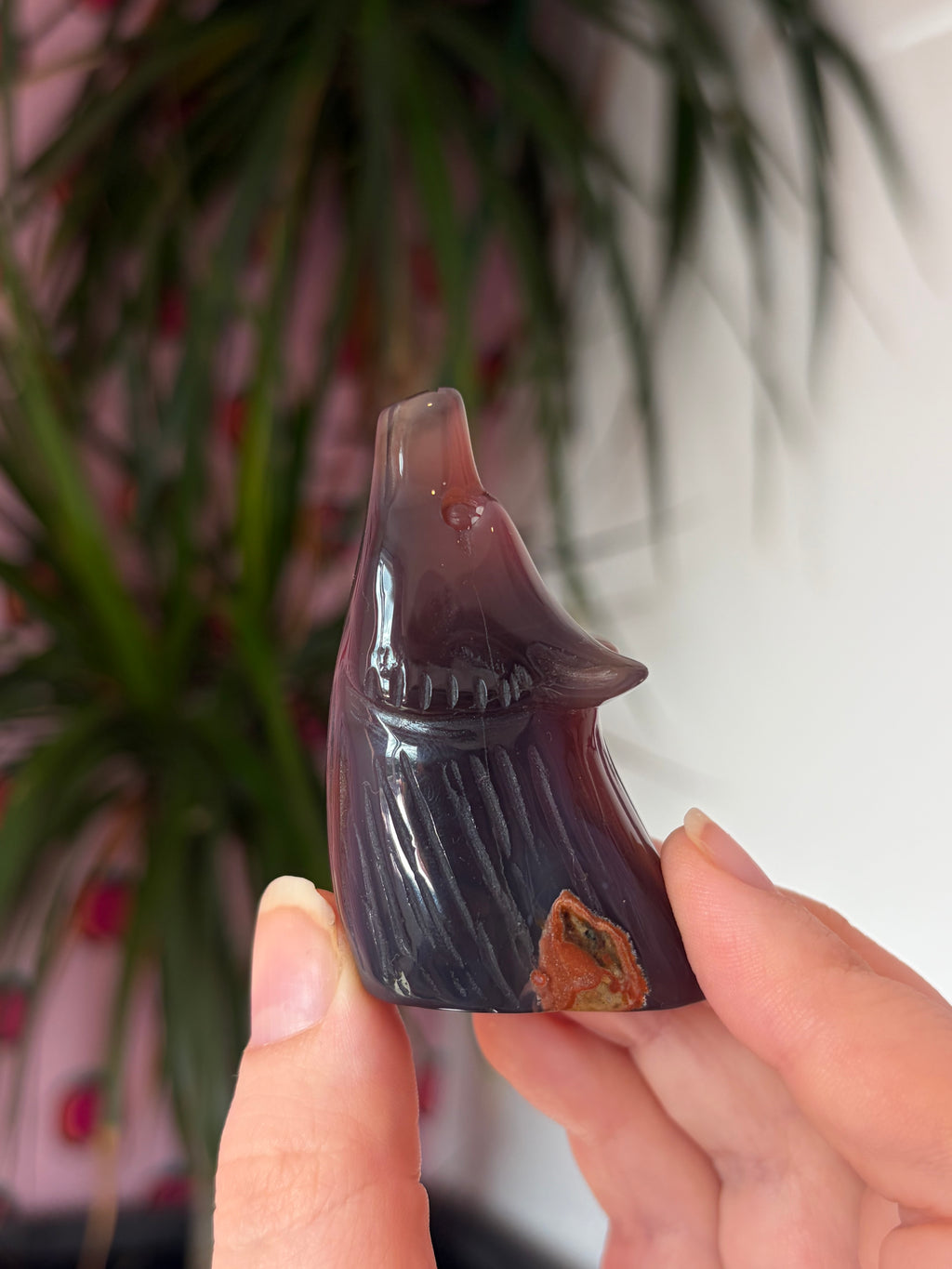 Mozambique Agate Wolf Head