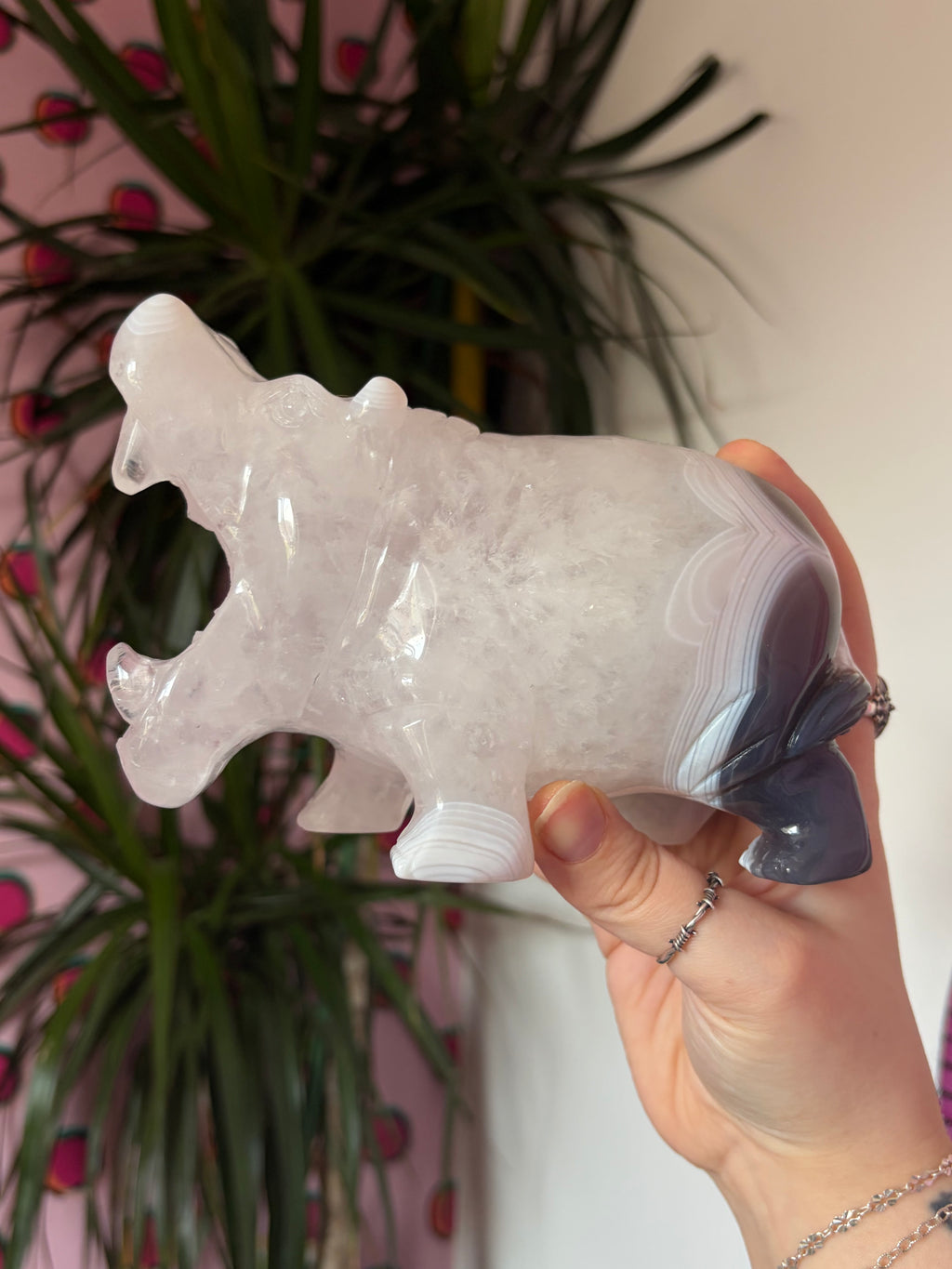 Druzy Agate Hippo