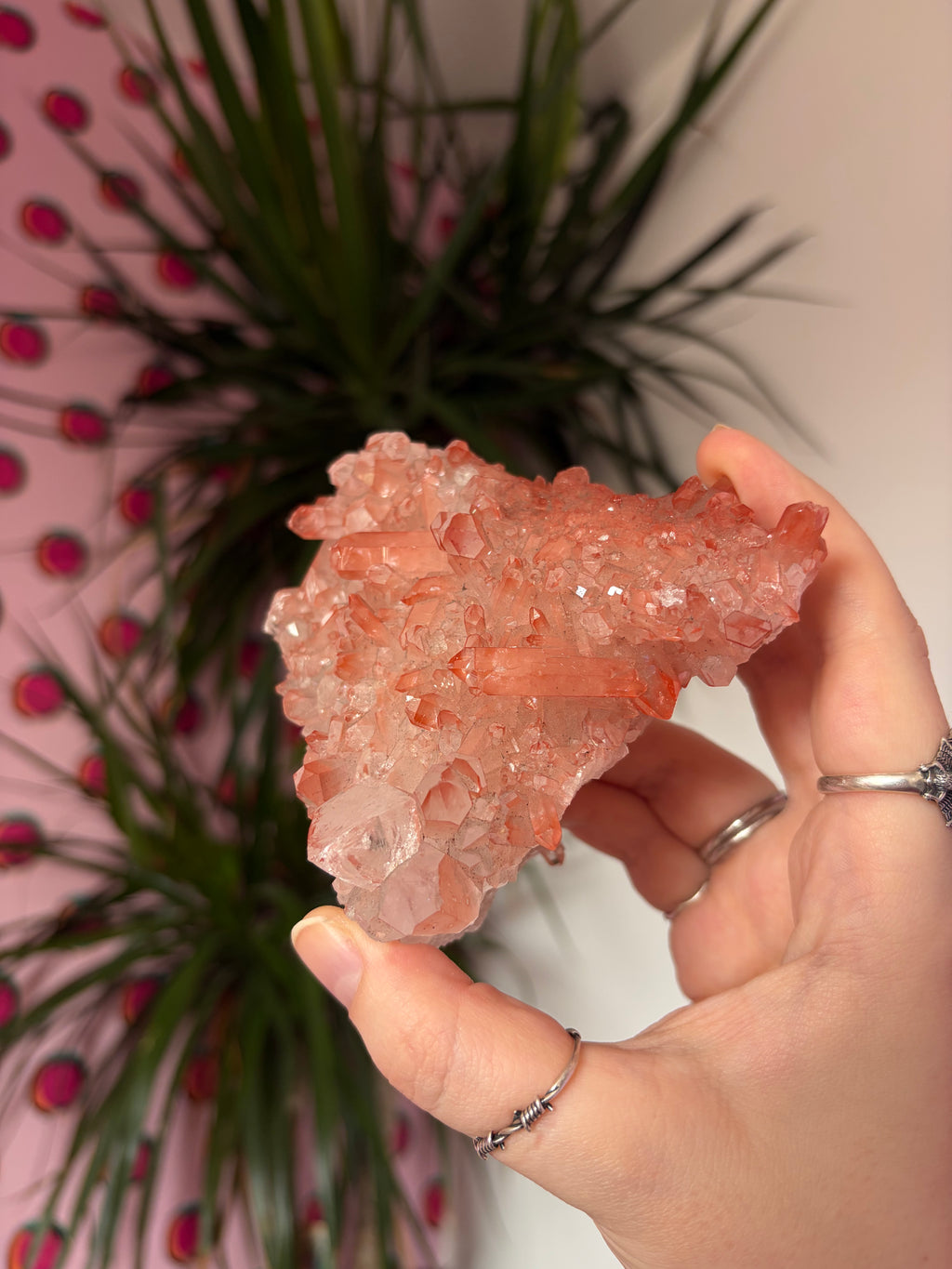 Sparkly Pink Lithium on custom stand