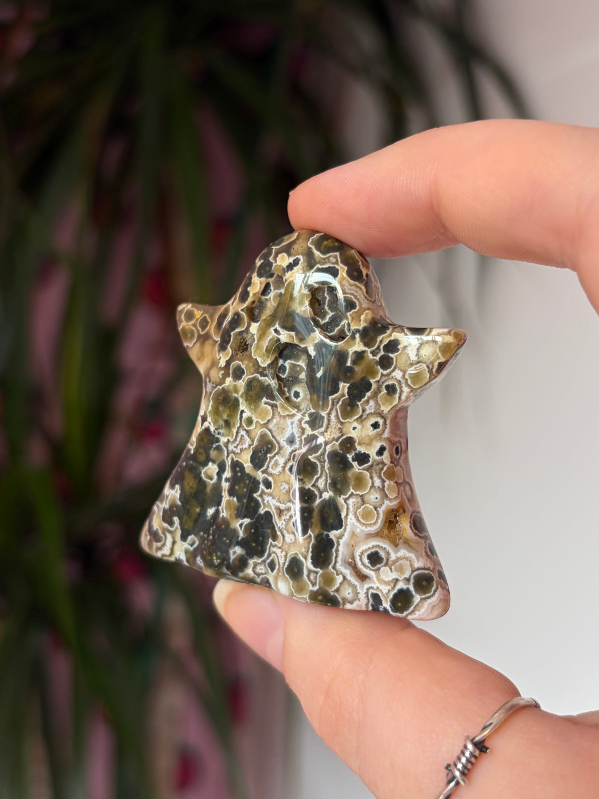 Orbicular Ocean Jasper Ghost