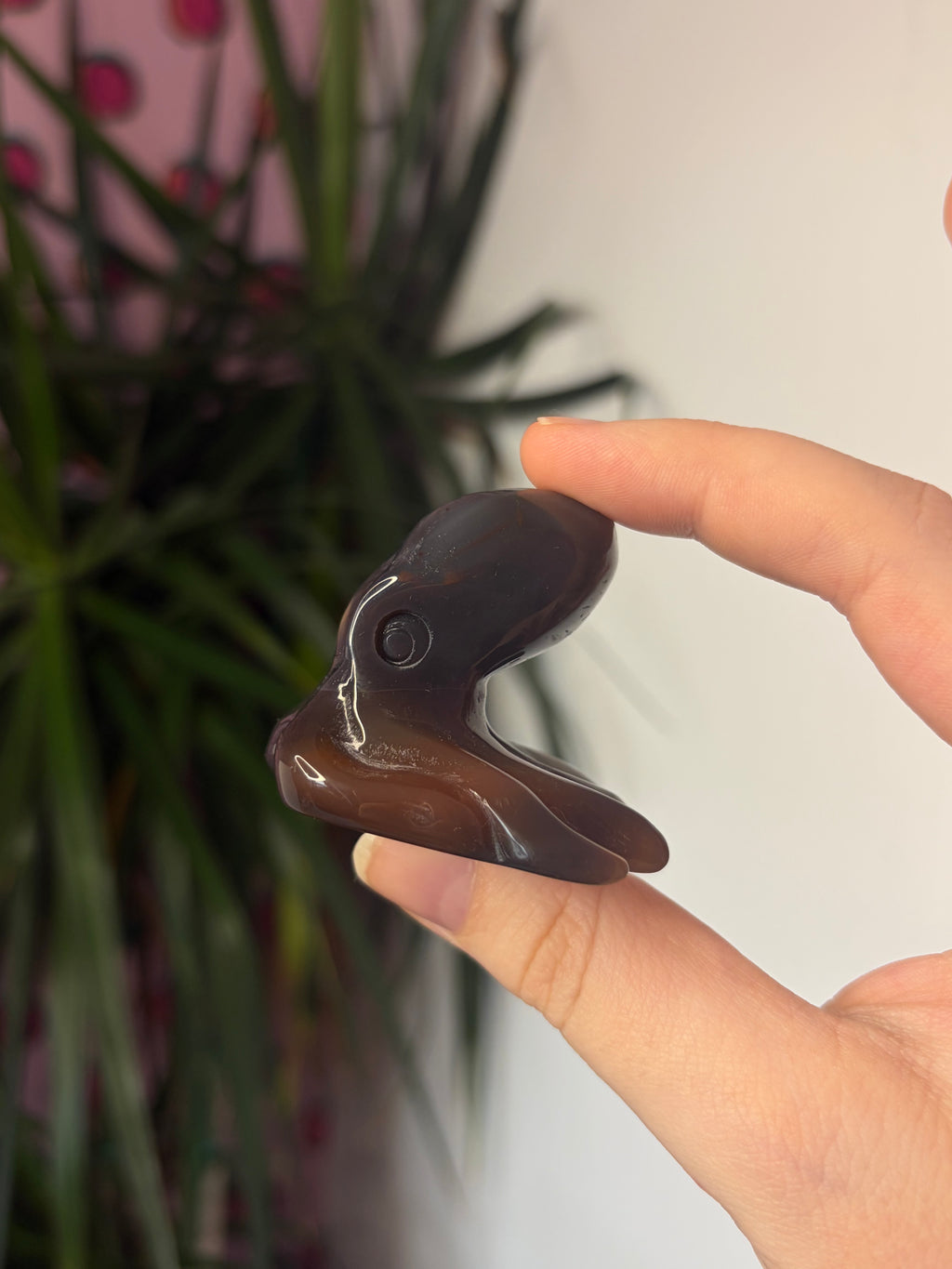 Mozambique Agate Octopus