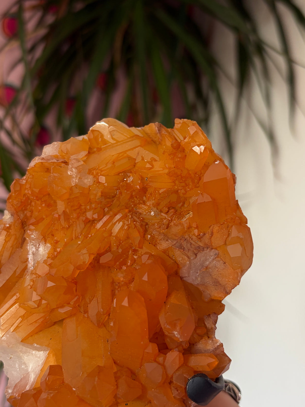 Tangerine Quartz on stand