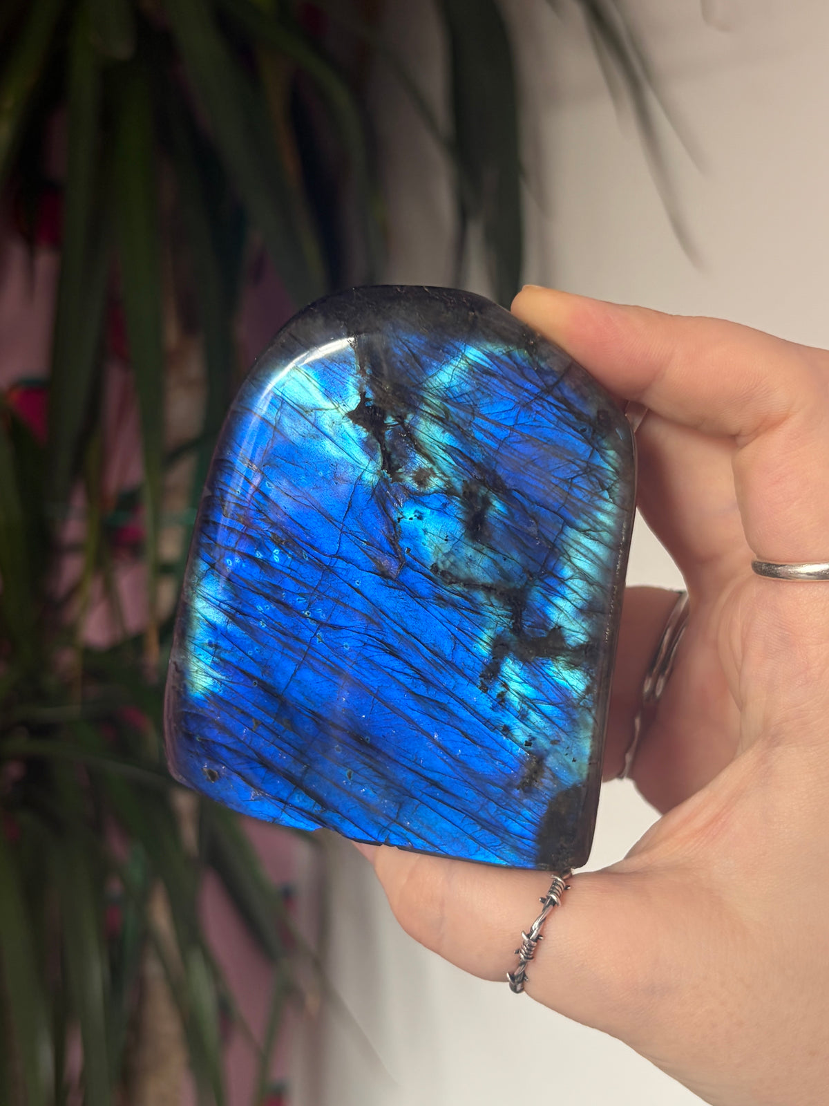 A Grade Labradorite Freeform