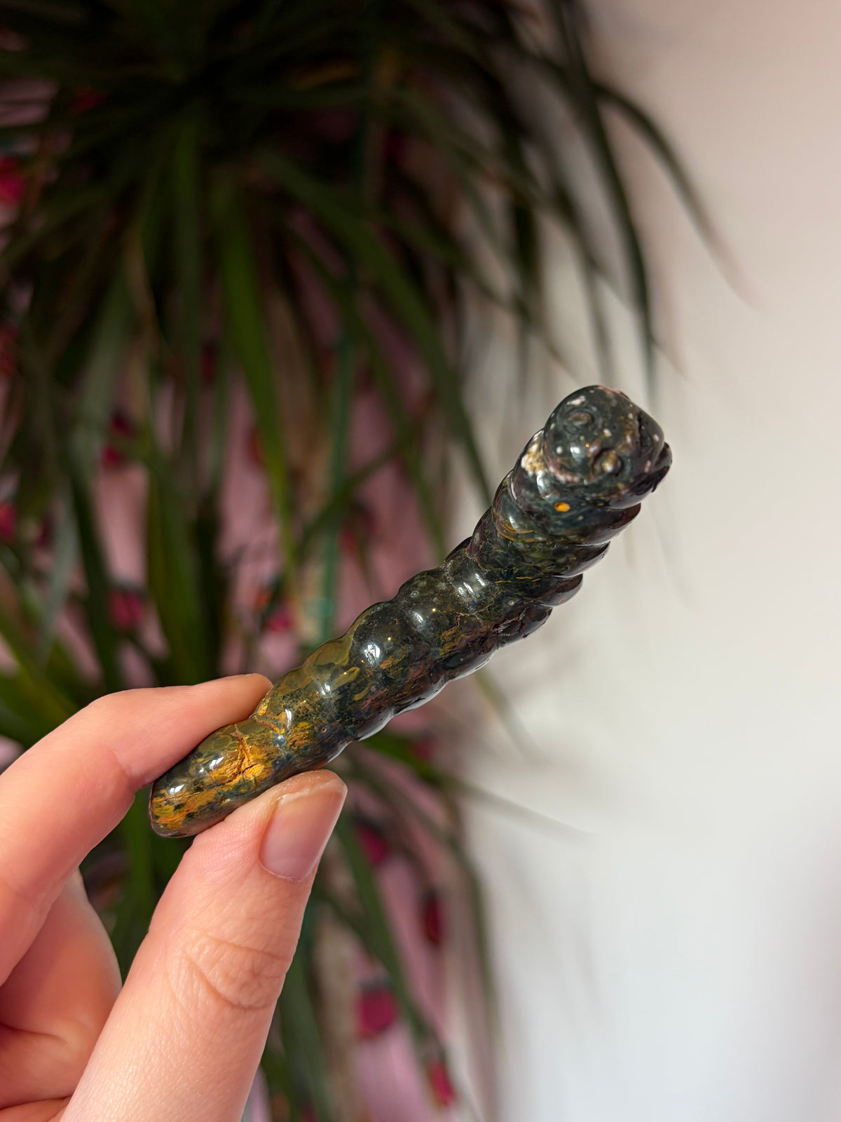 Ocean Jasper caterpillar