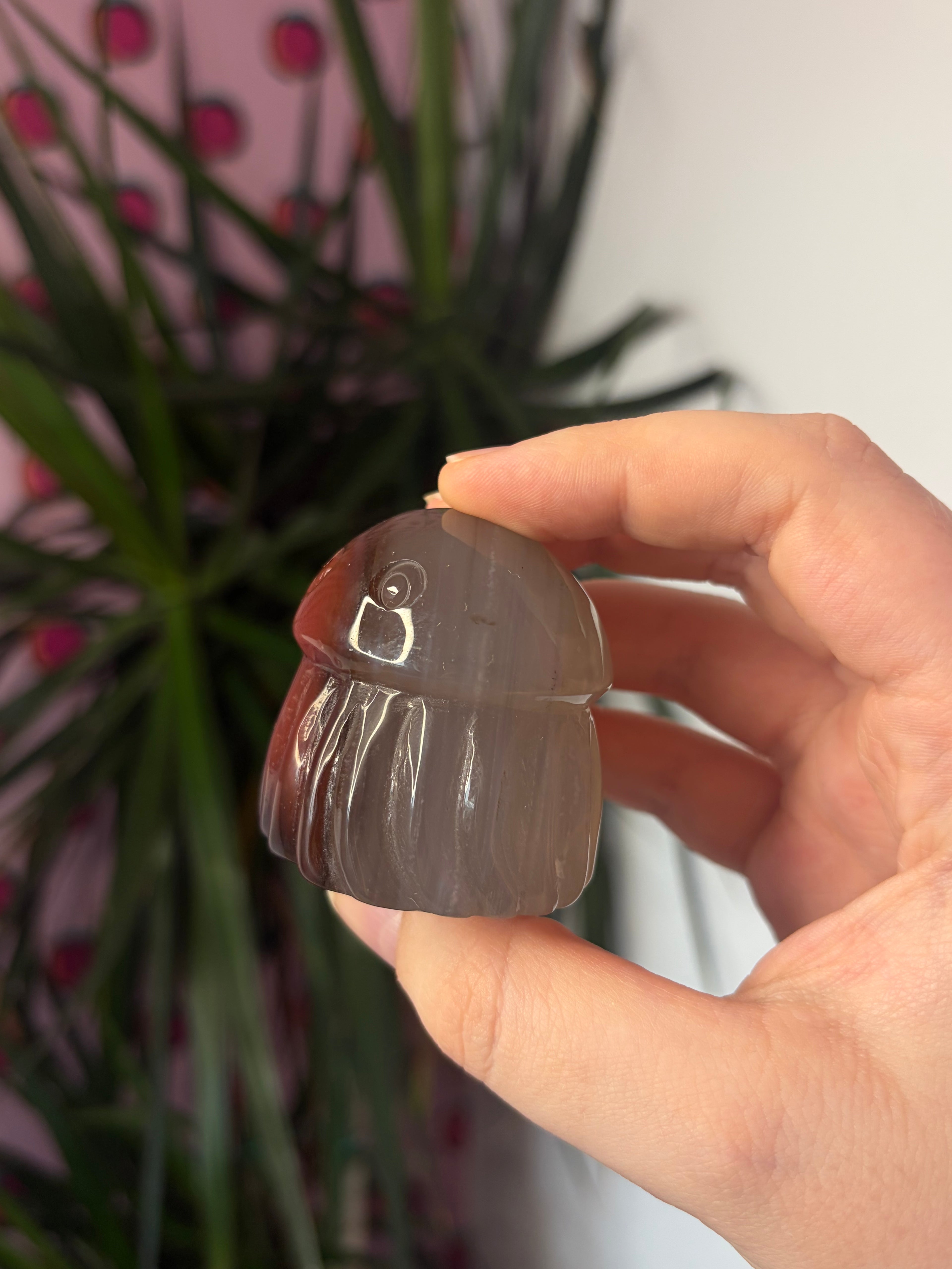 Mozambique Agate Jellyfish