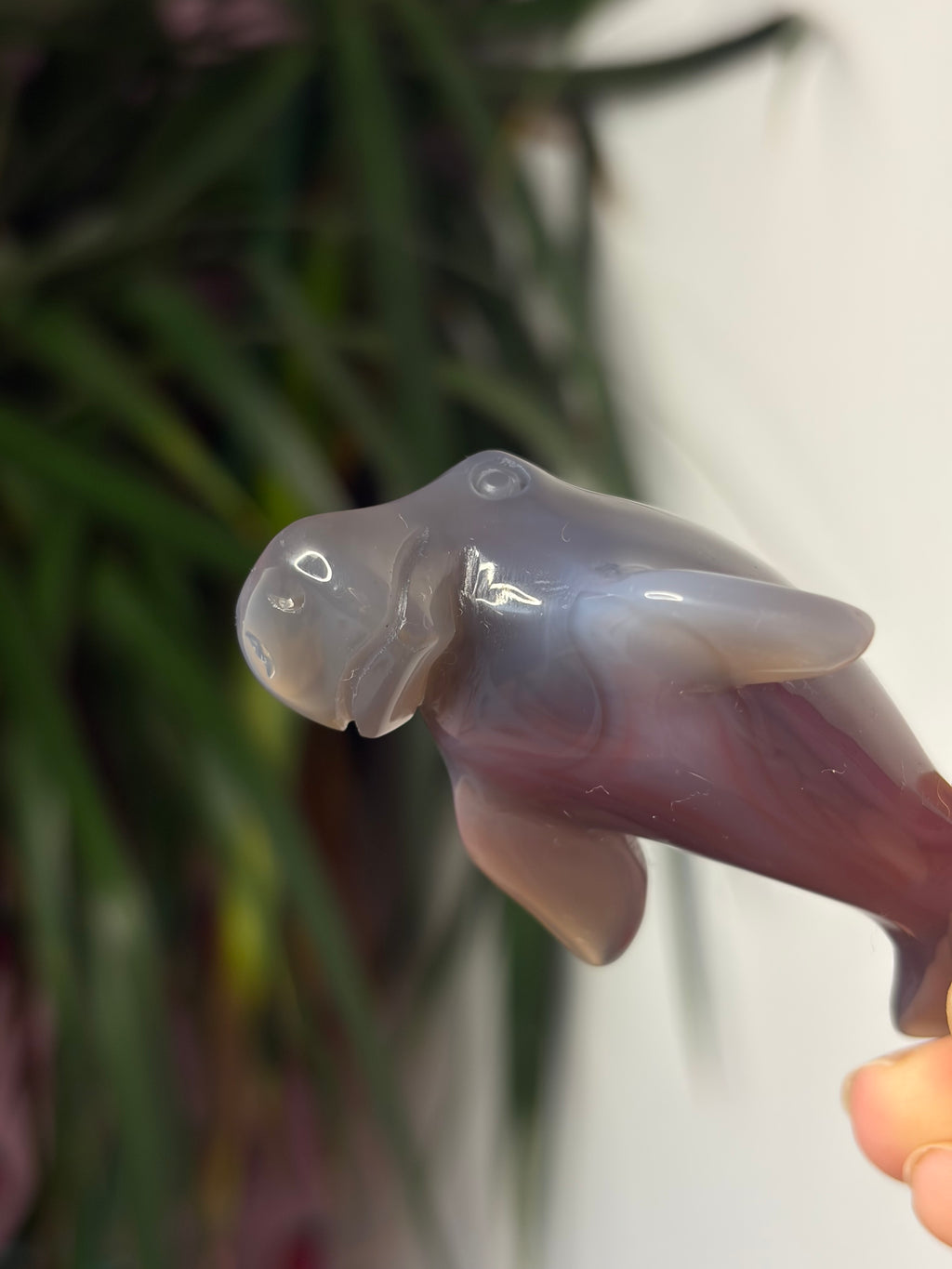 Mozambique Agate Manatee