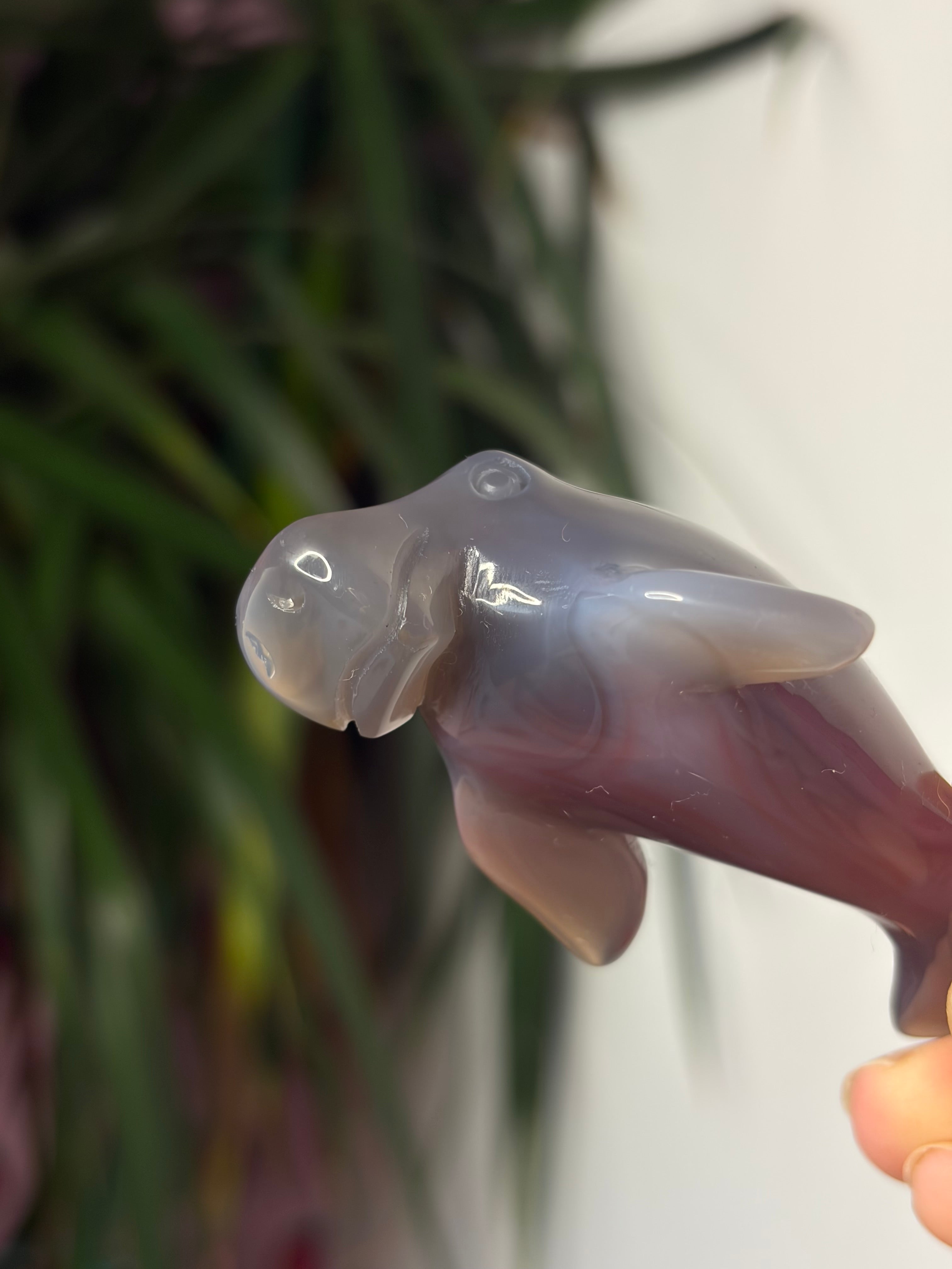 Mozambique Agate Manatee