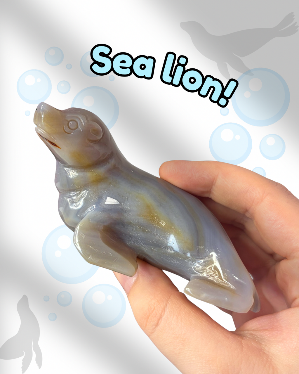 Grey Agate Sea Lion