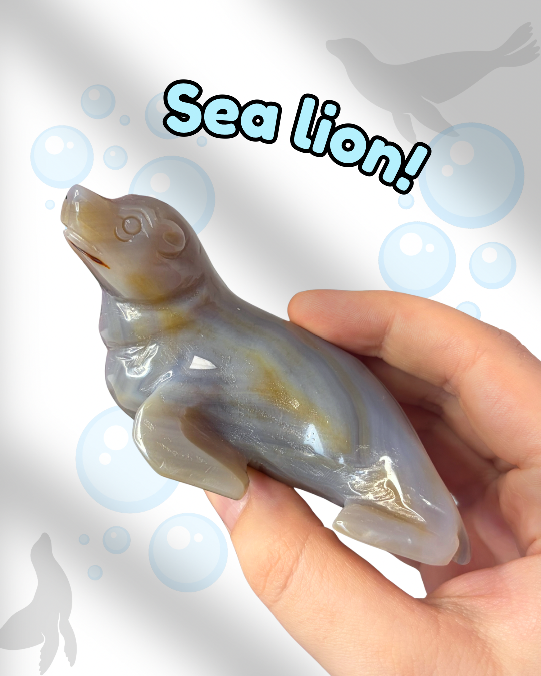Grey Agate Sea Lion