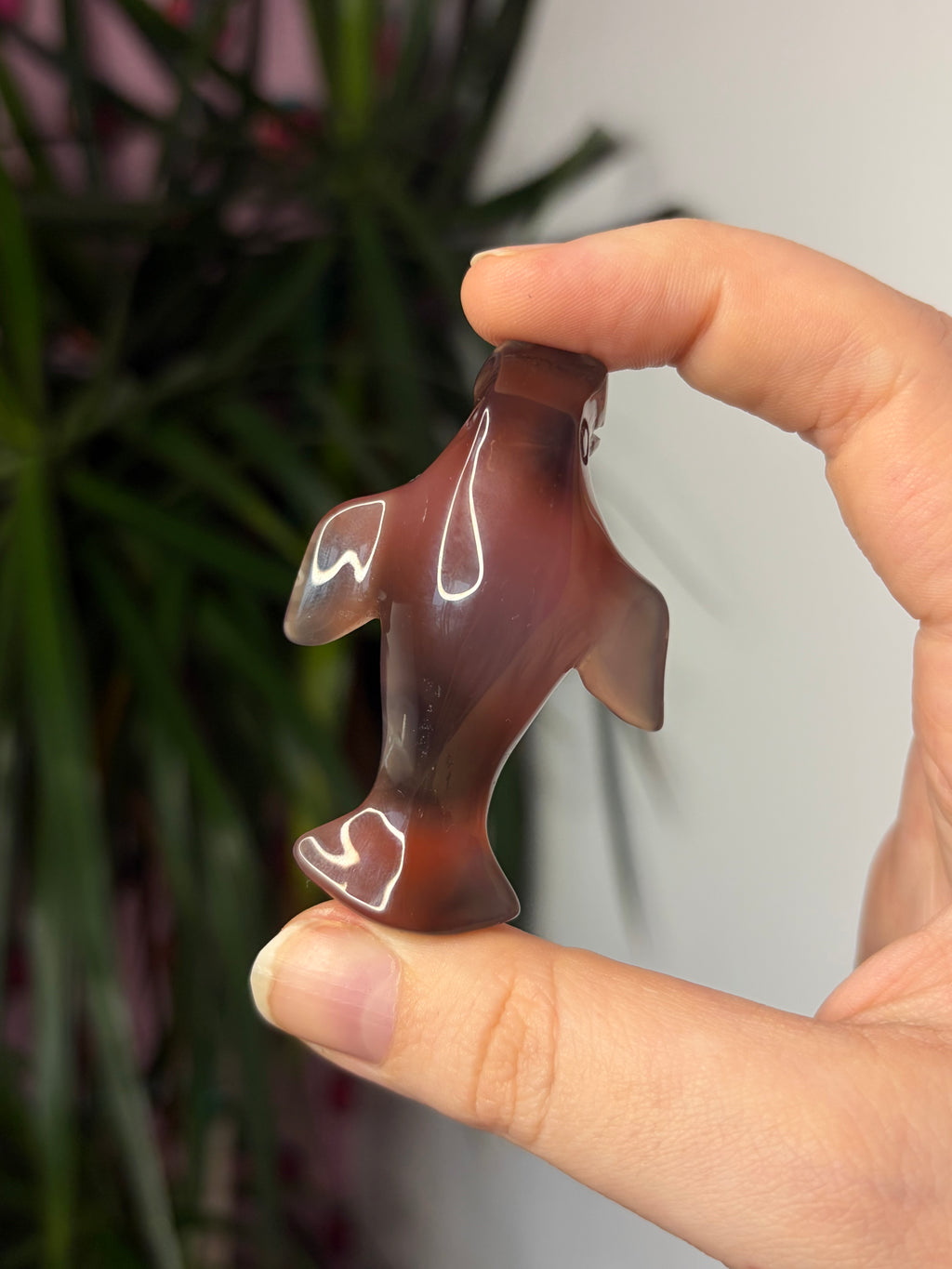 Mozambique Agate Manatee
