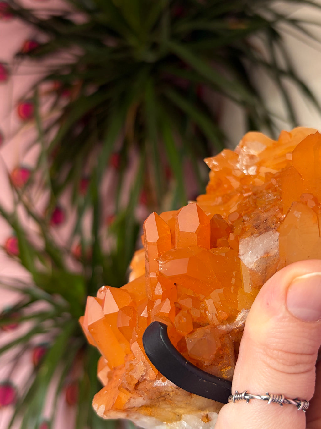 Tangerine Quartz on stand