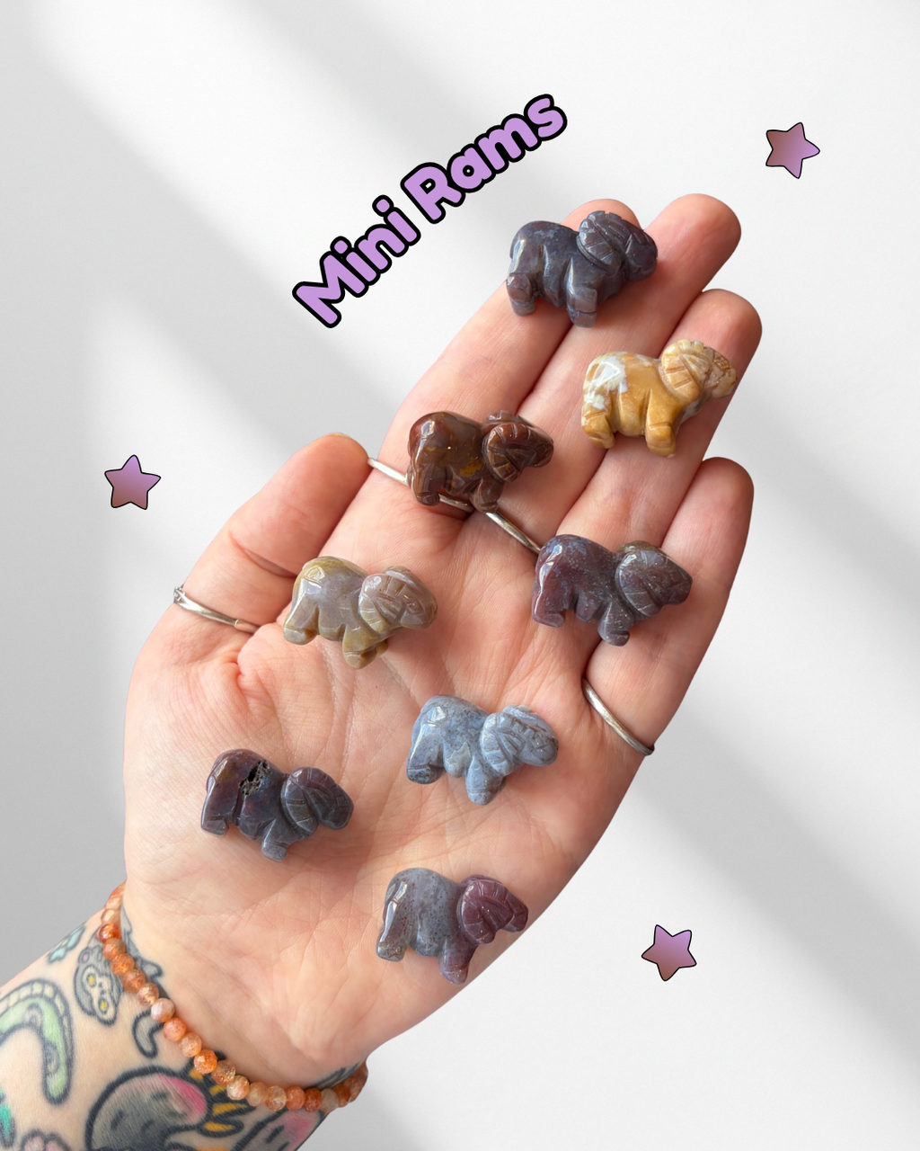 Mini Sea Jasper Rams