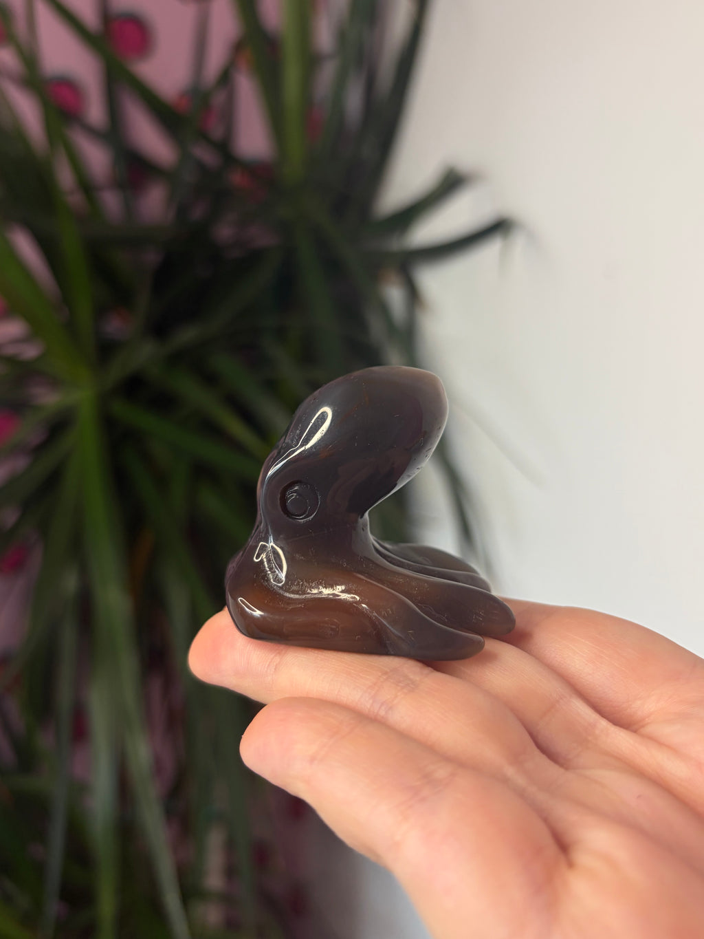 Mozambique Agate Octopus