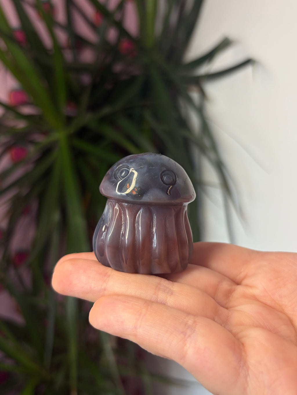 Mozambique Agate Jellyfish