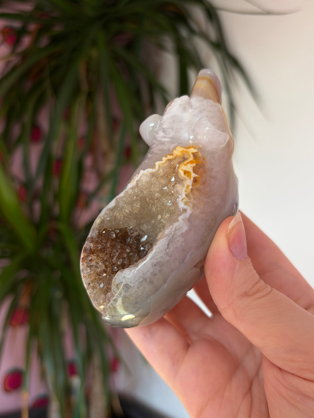 Druzy agate bear