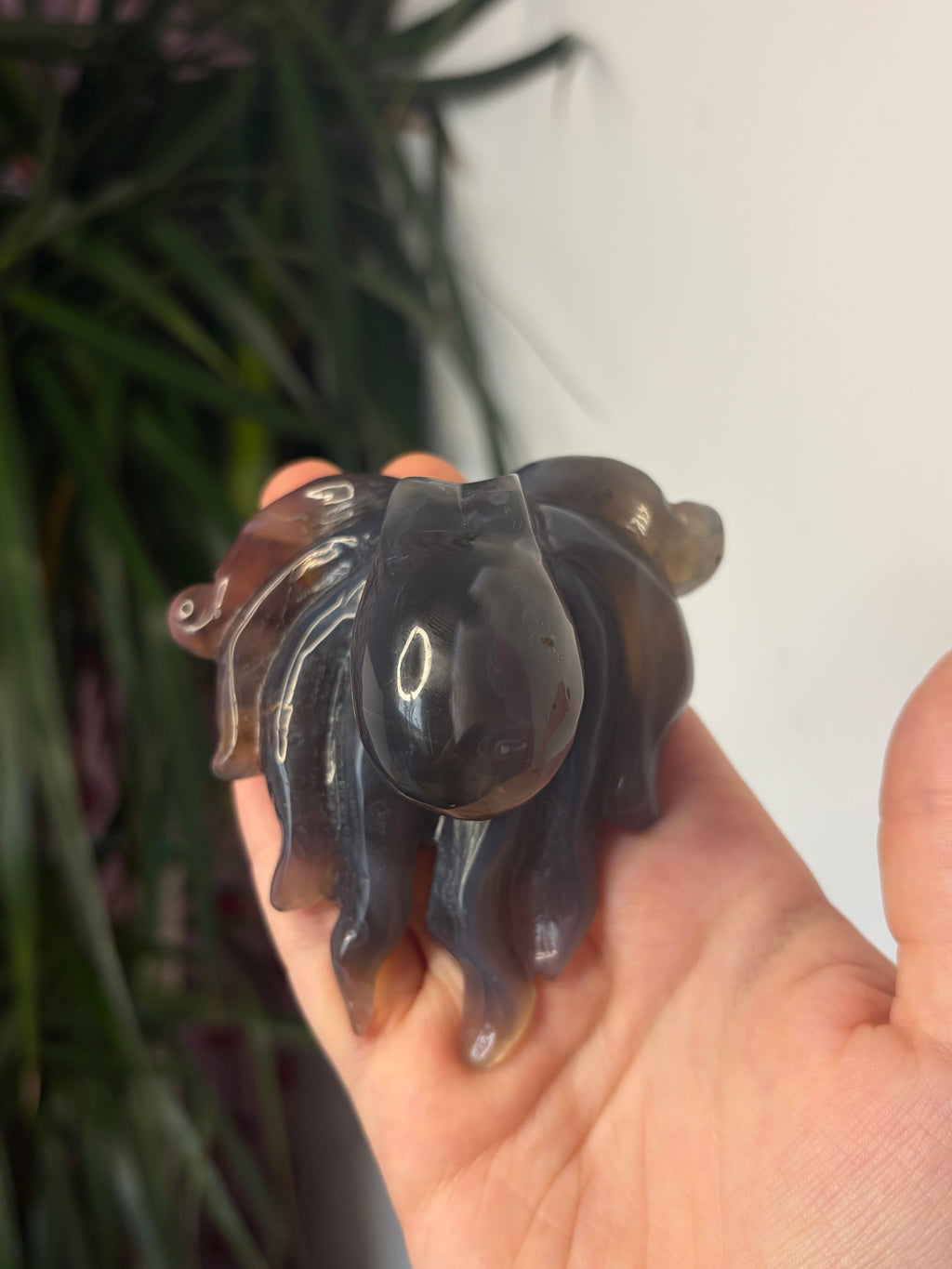 Mozambique Agate Octopus