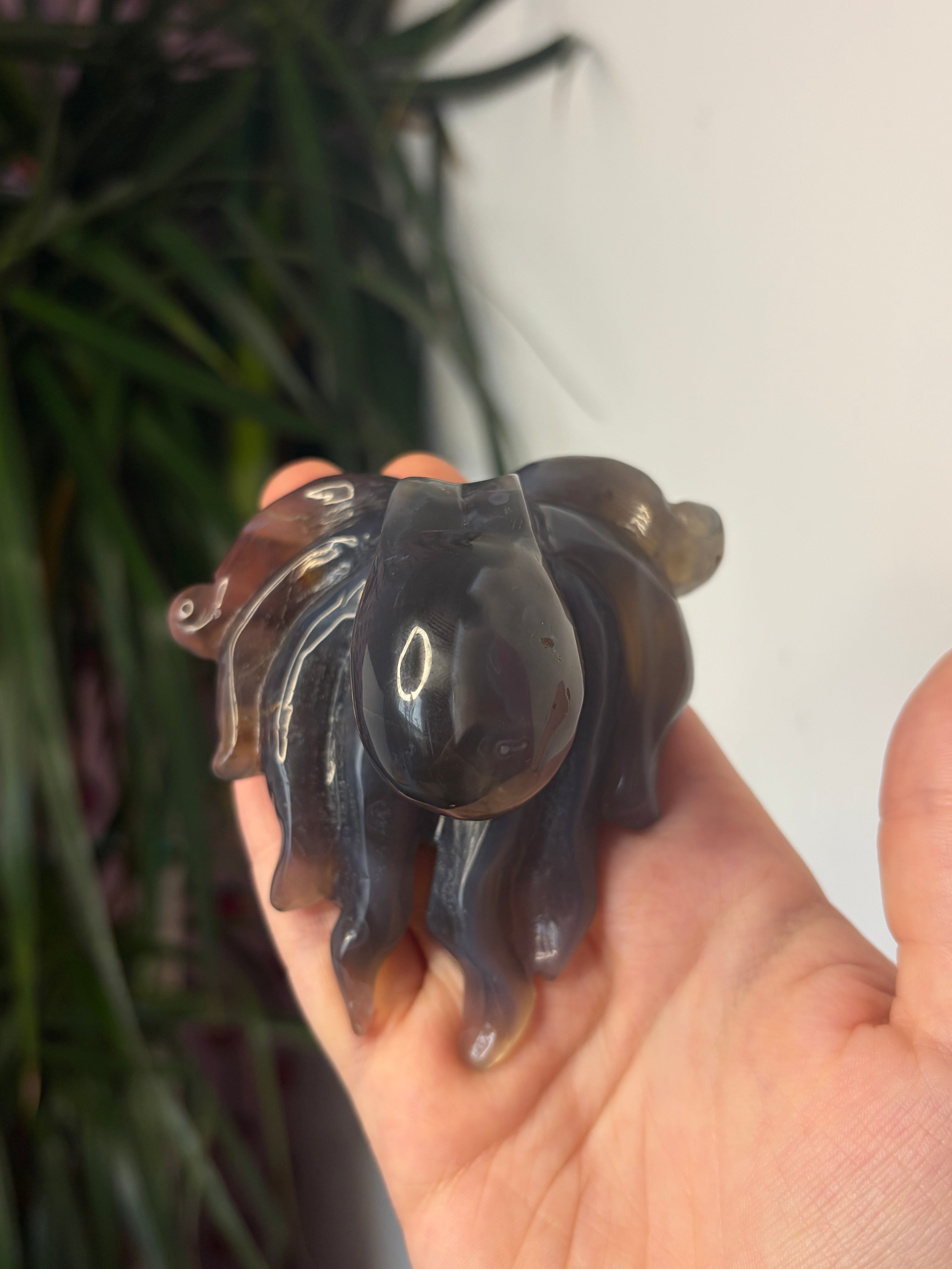 Mozambique Agate Octopus