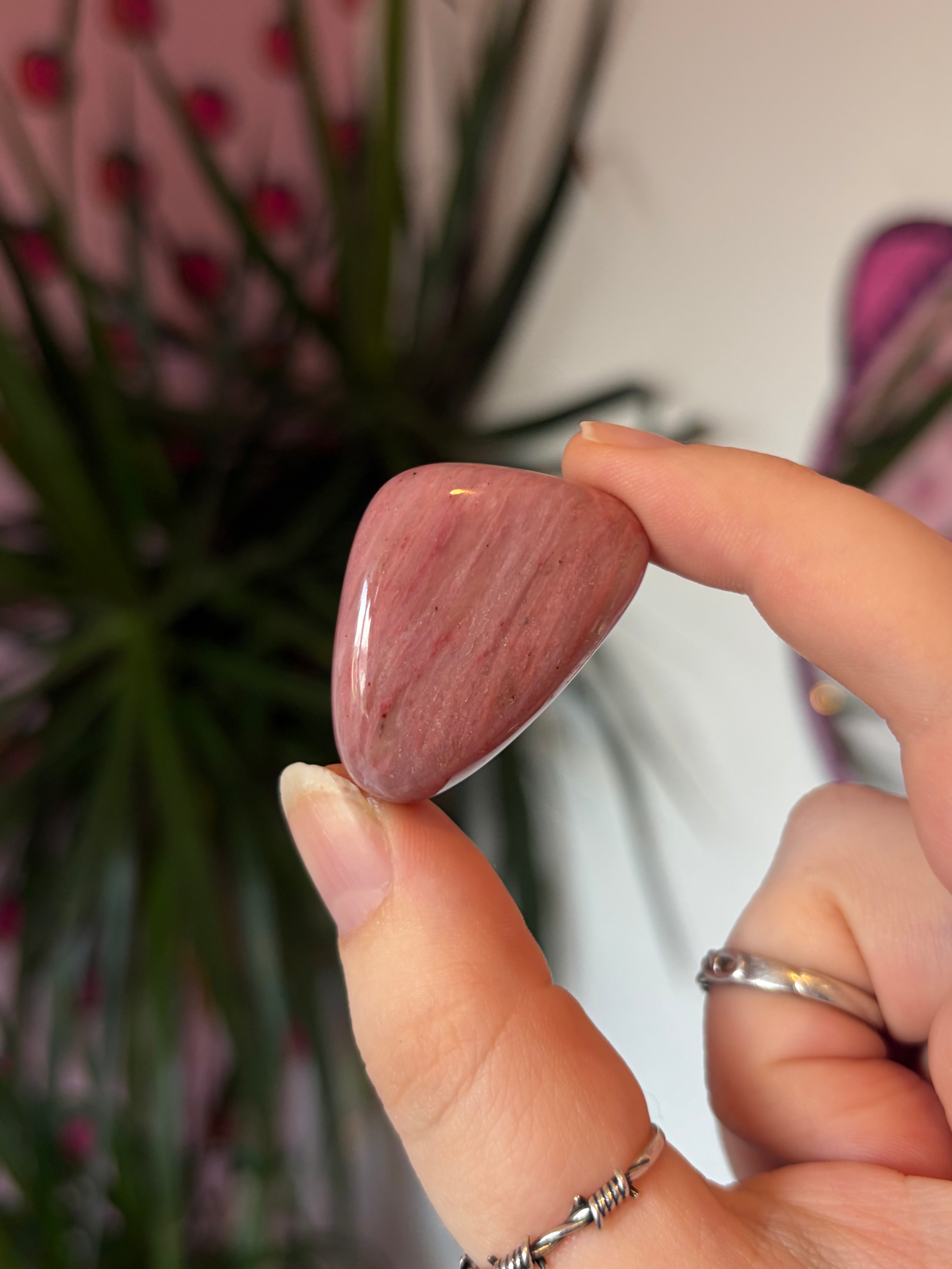 Pink Fossil Wood Tumblestone