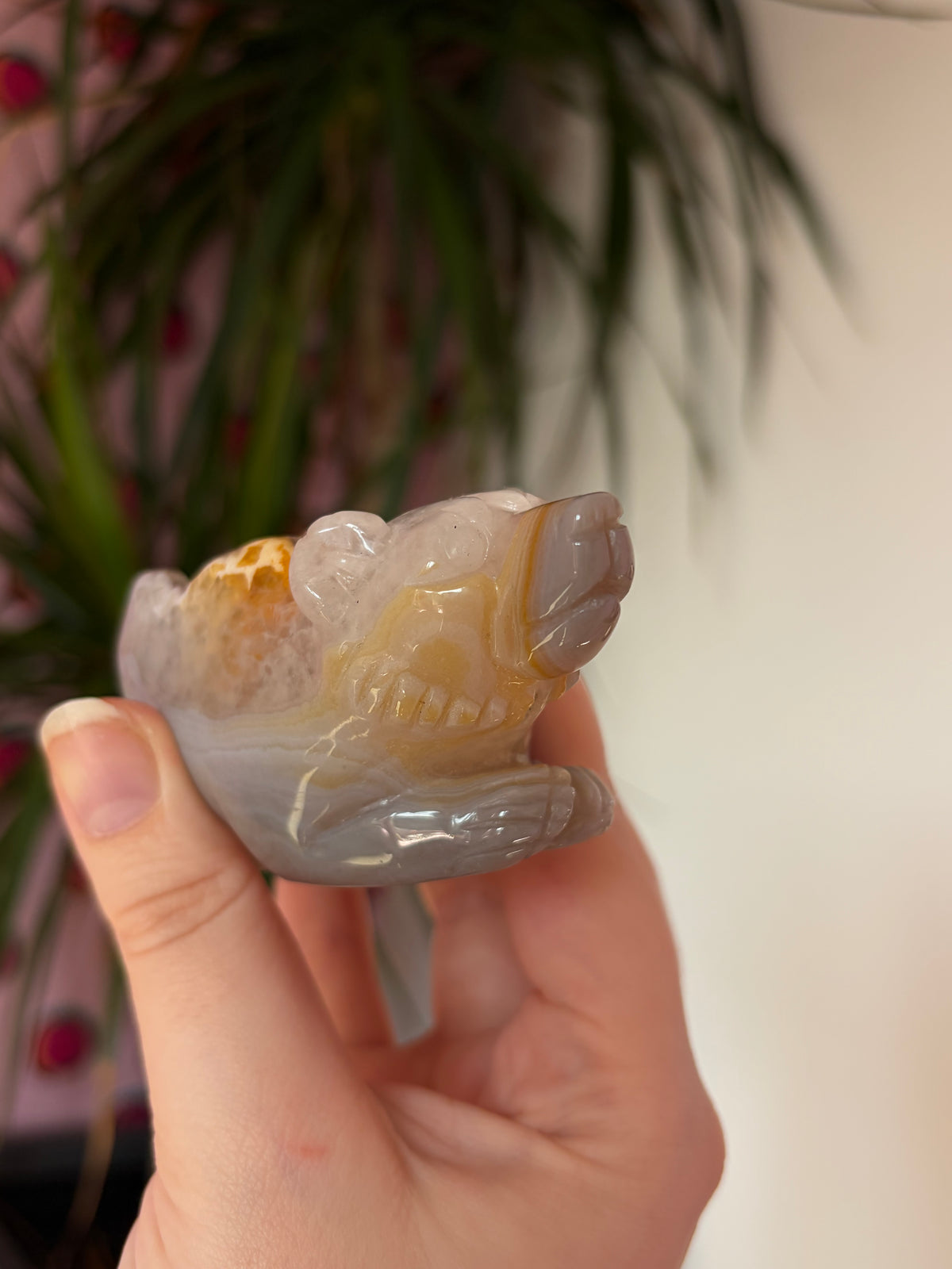 Druzy agate bear