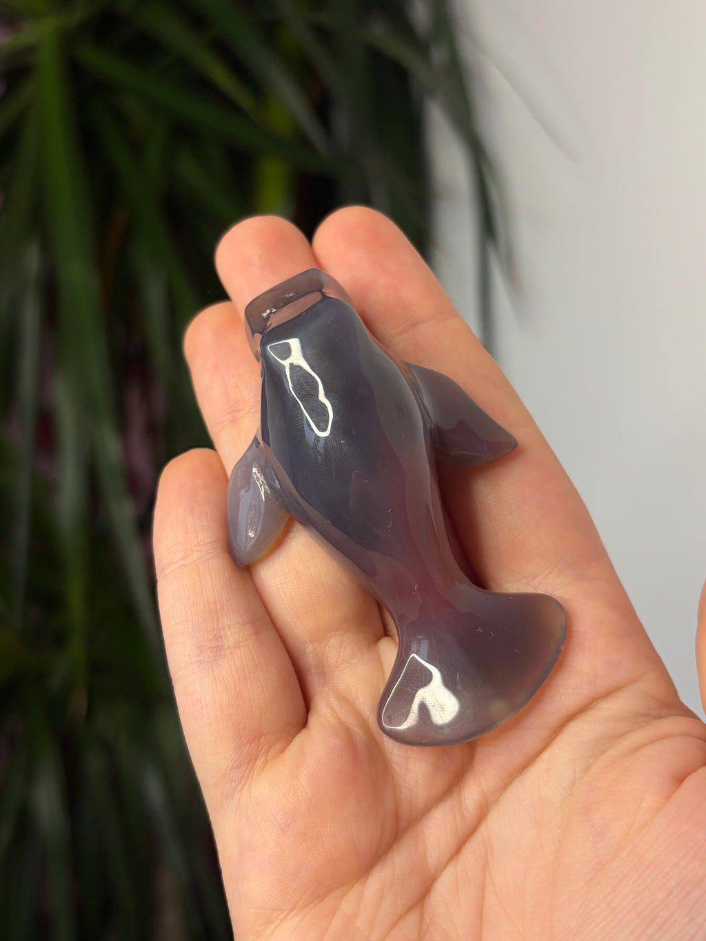 Mozambique Agate Manatee