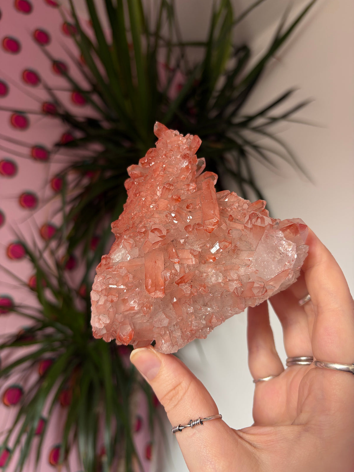 Sparkly Pink Lithium on custom stand