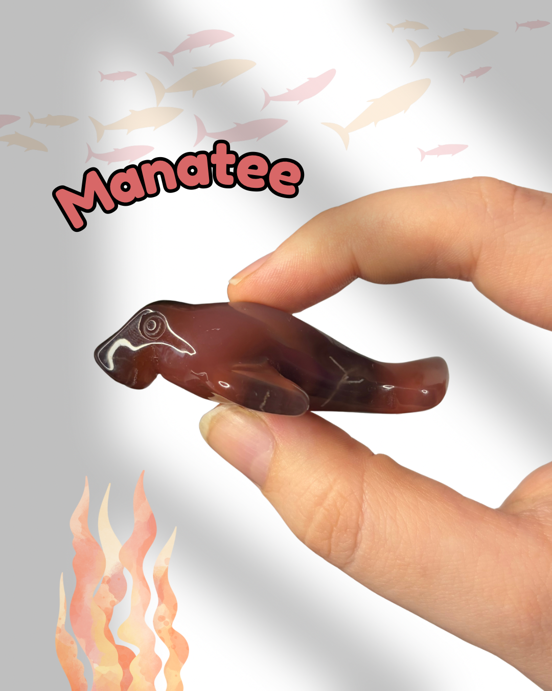 Mozambique Agate Manatee
