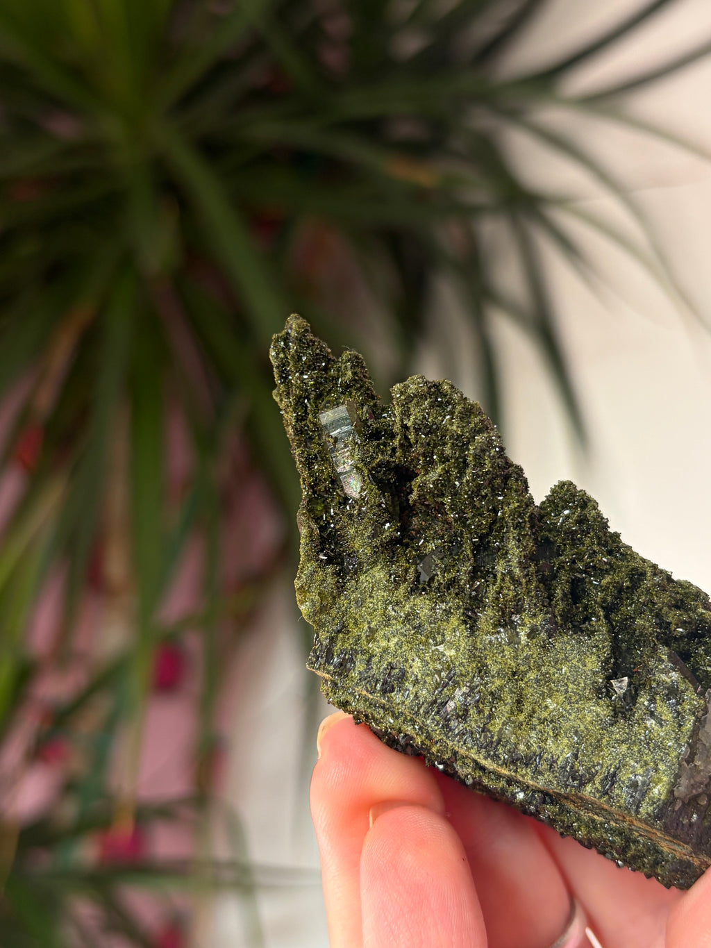 Forest Epidote Specimen