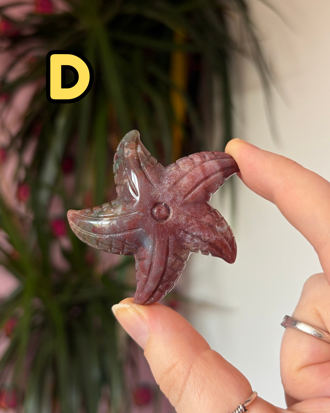 Sea Jasper Starfish