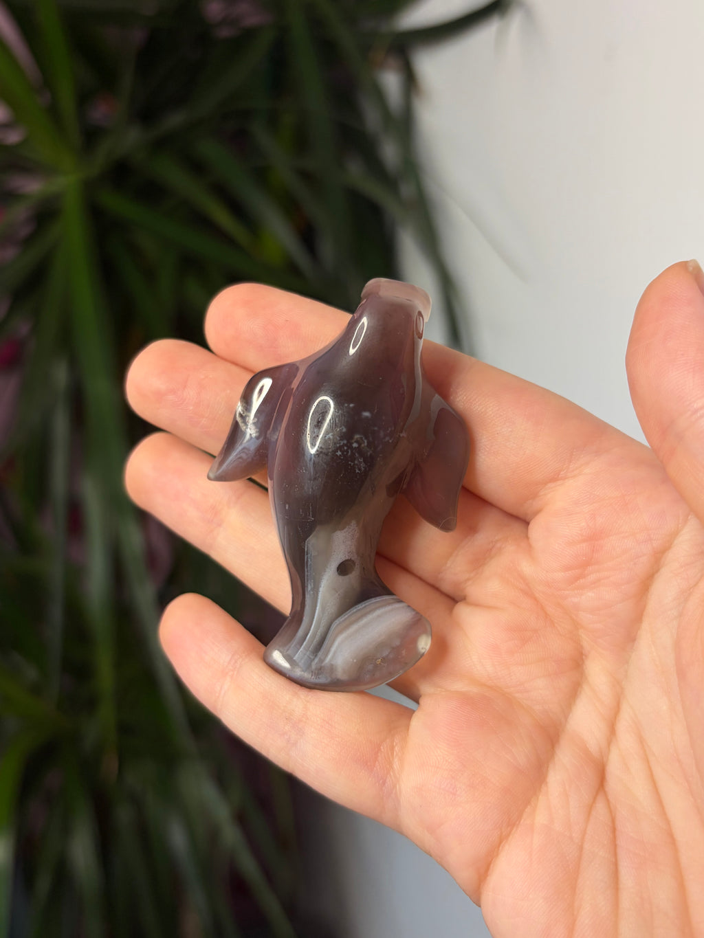 Mozambique Agate Manatee