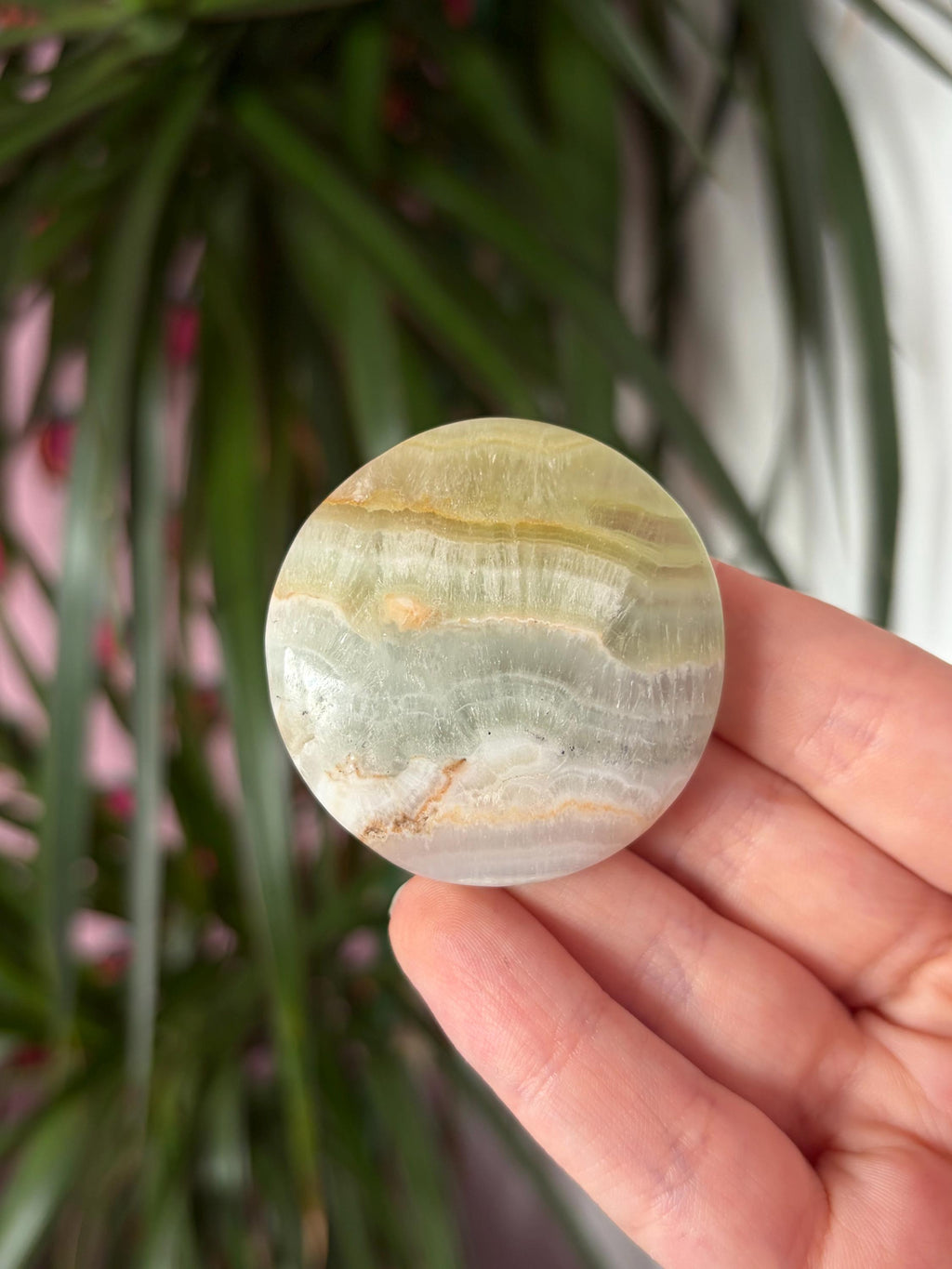 Pistachio Calcite Button Palmstone