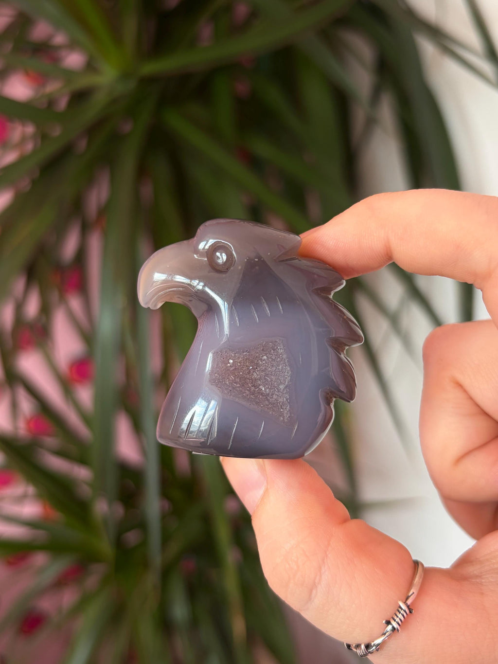 Druzy Agate Eagle
